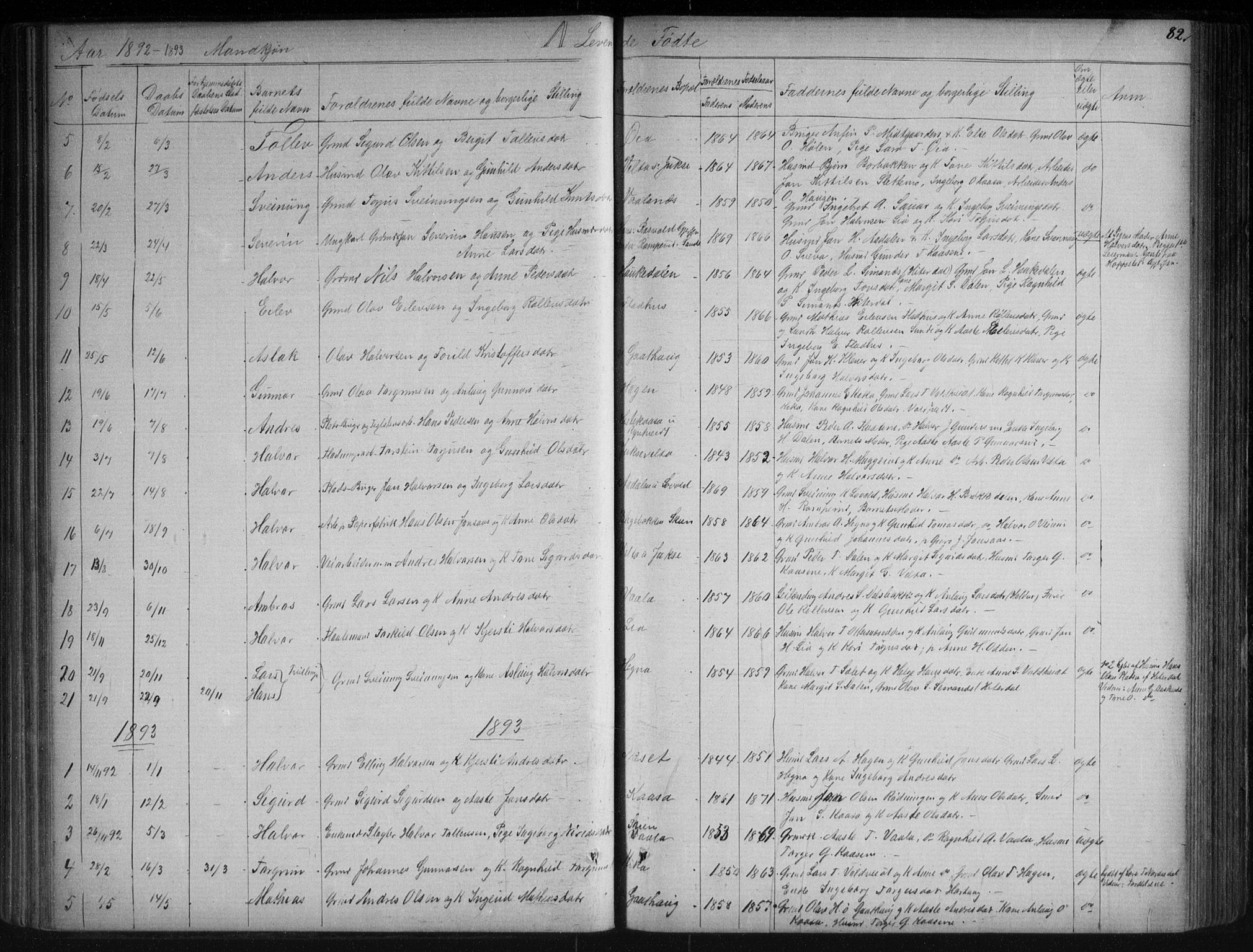 Sauherad kirkebøker, SAKO/A-298/G/Ga/L0003: Parish register (copy) no. I 3, 1866-1905, p. 82