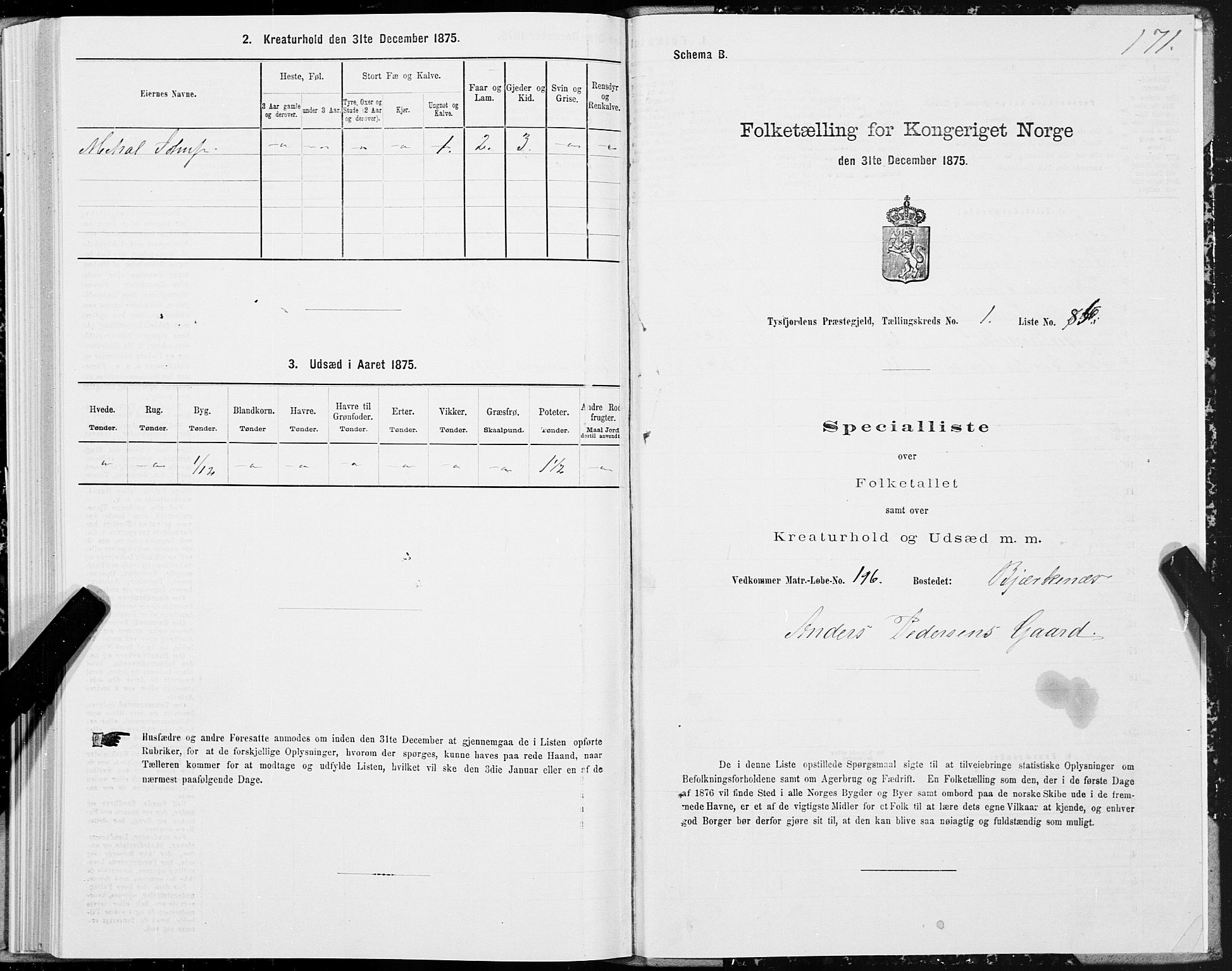 SAT, 1875 census for 1850P Tysfjord, 1875, p. 1171