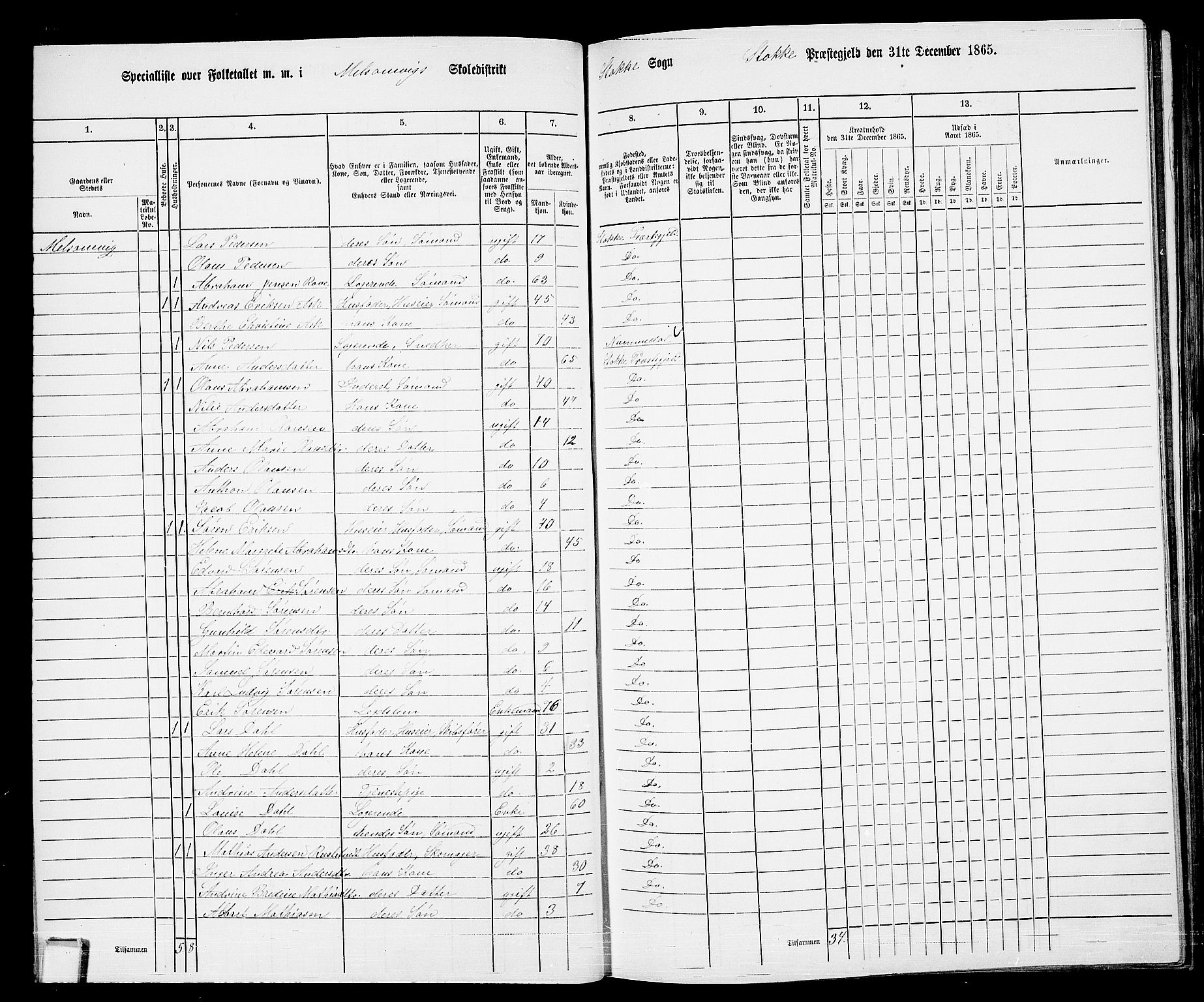 RA, 1865 census for Stokke, 1865, p. 44