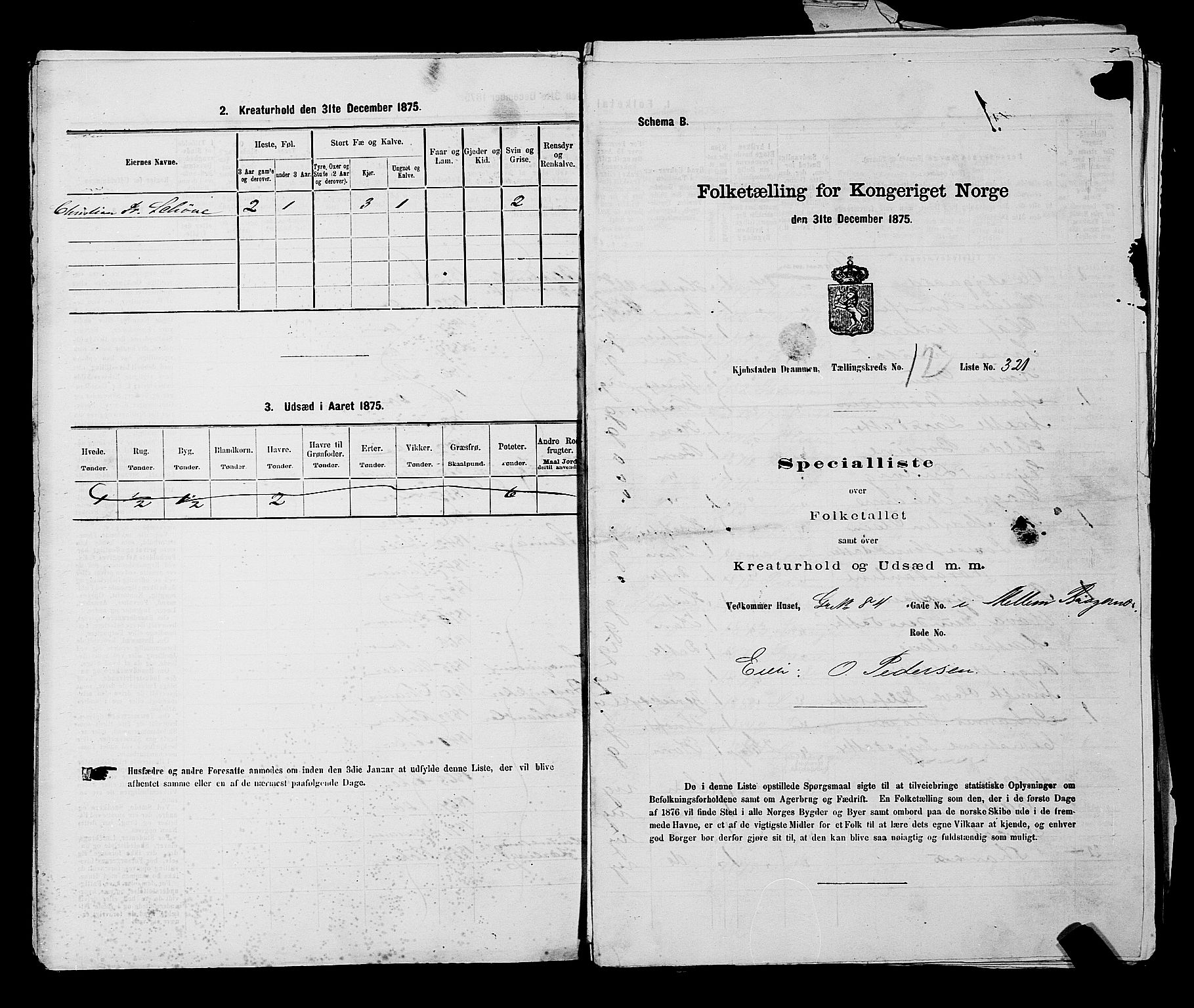 SAKO, 1875 census for 0602 Drammen, 1875, p. 1302