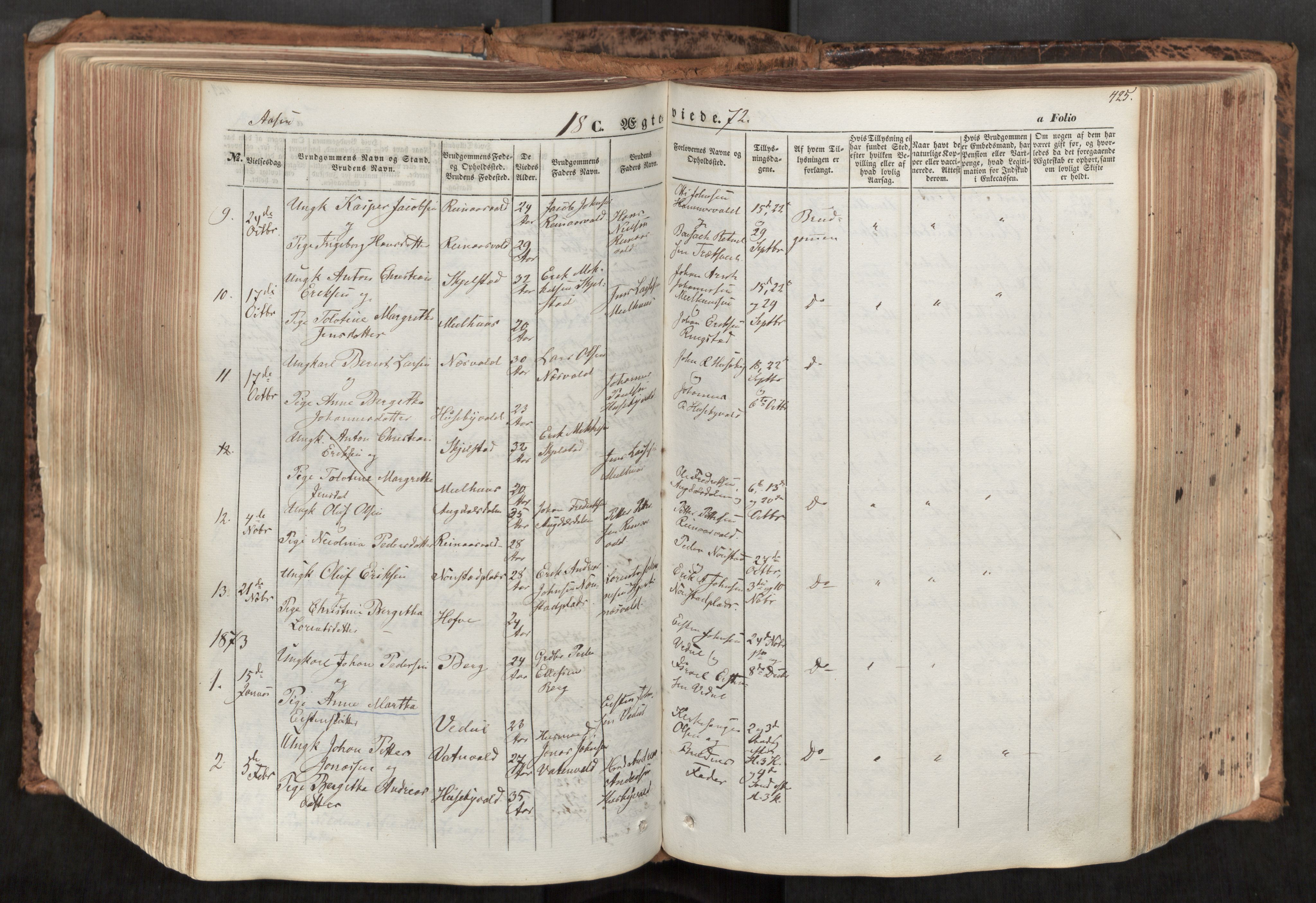 Ministerialprotokoller, klokkerbøker og fødselsregistre - Nord-Trøndelag, SAT/A-1458/713/L0116: Parish register (official) no. 713A07, 1850-1877, p. 425