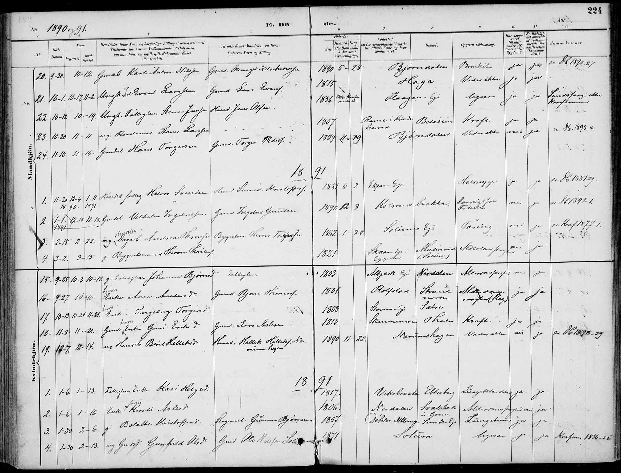 Sigdal kirkebøker, SAKO/A-245/F/Fb/L0001: Parish register (official) no. II 1, 1888-1900, p. 224