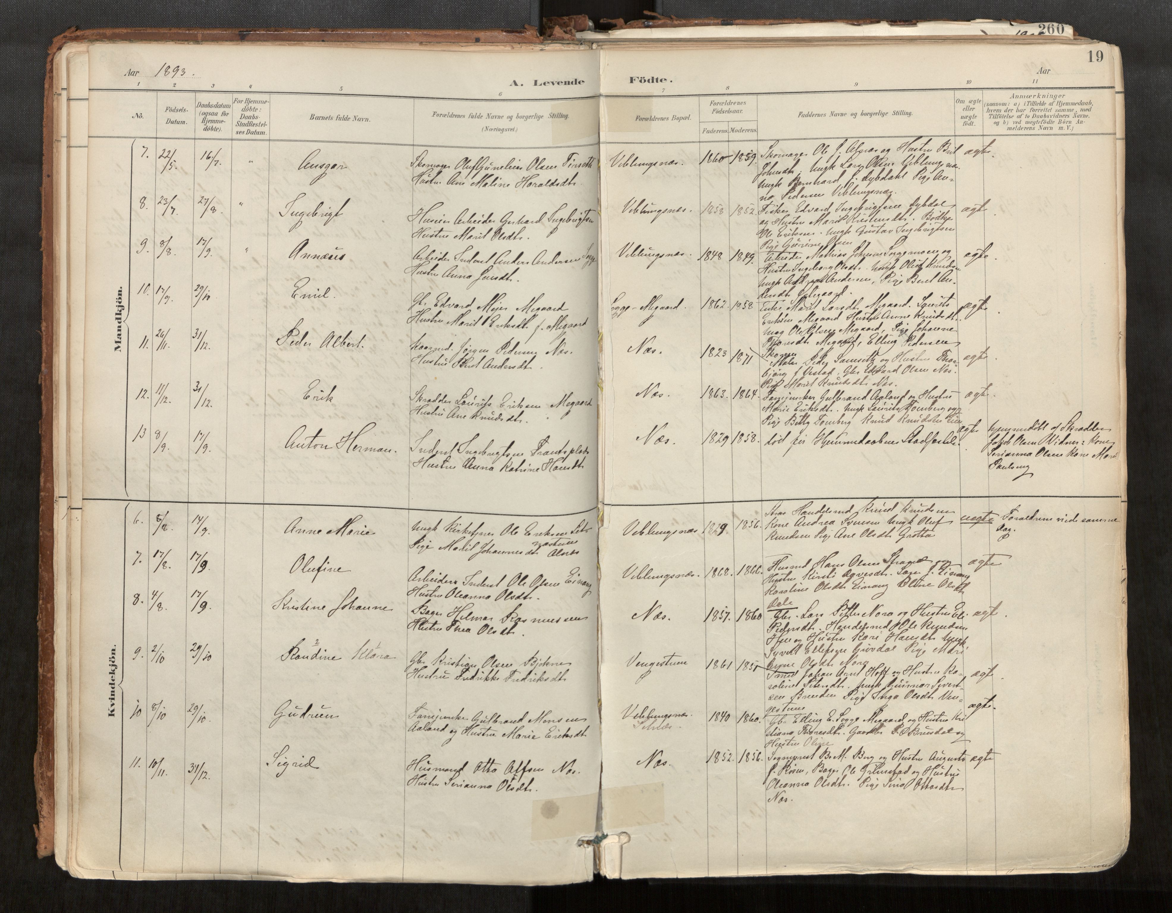 Ministerialprotokoller, klokkerbøker og fødselsregistre - Møre og Romsdal, AV/SAT-A-1454/544/L0585: Parish register (official) no. 544A06, 1887-1924, p. 19