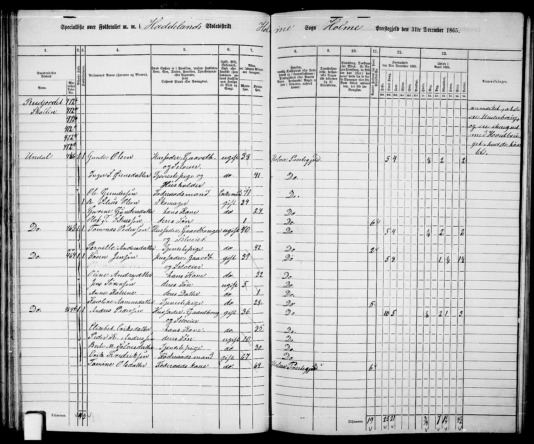 RA, 1865 census for Holum, 1865, p. 46