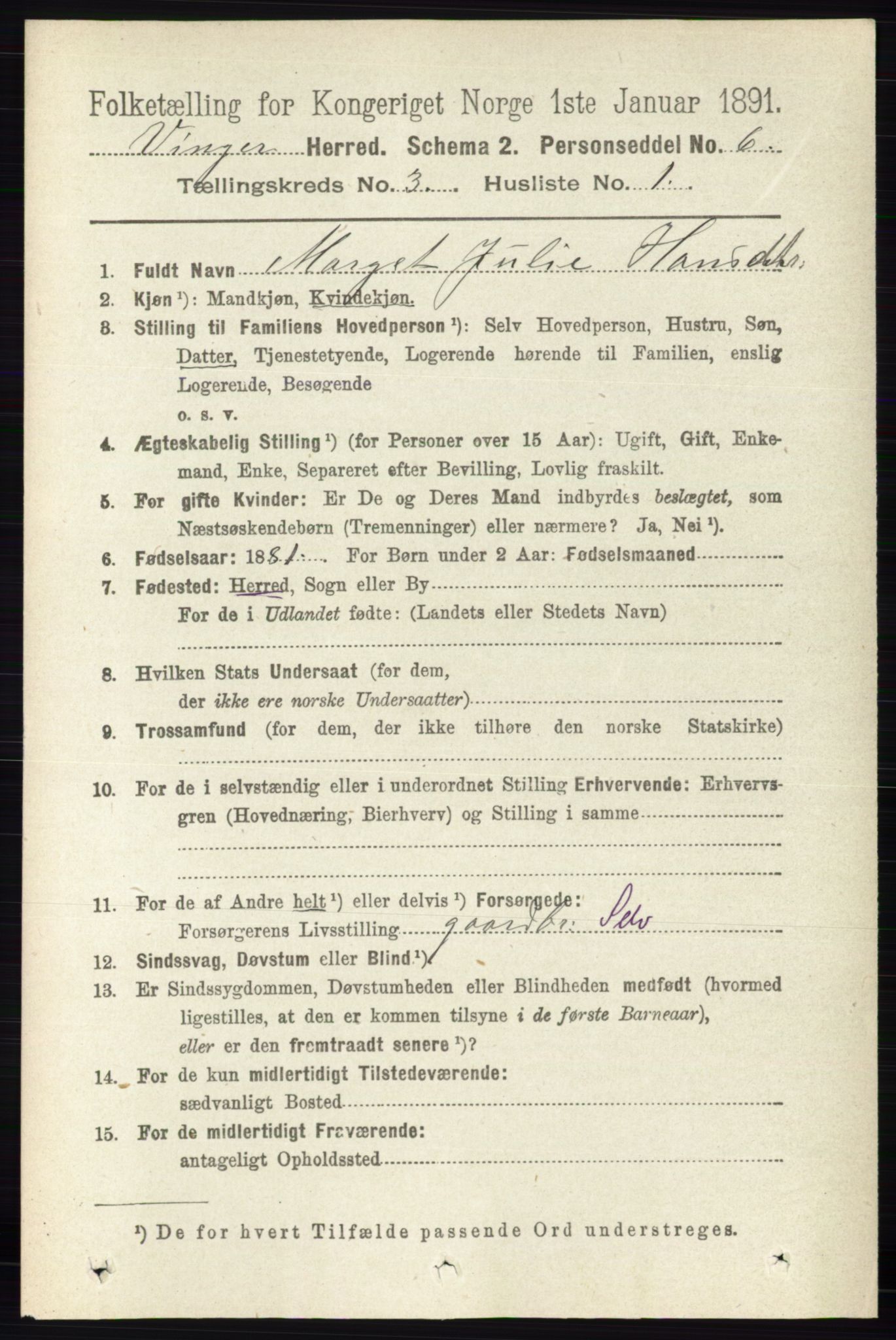 RA, 1891 census for 0421 Vinger, 1891, p. 899