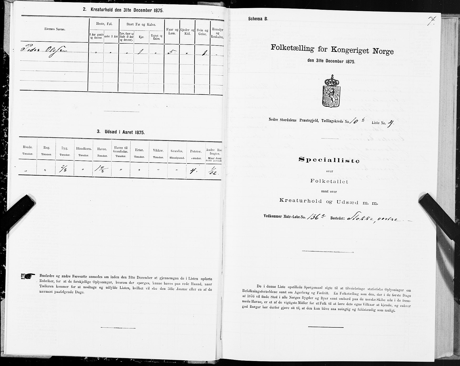 SAT, 1875 census for 1714P Nedre Stjørdal, 1875, p. 5007