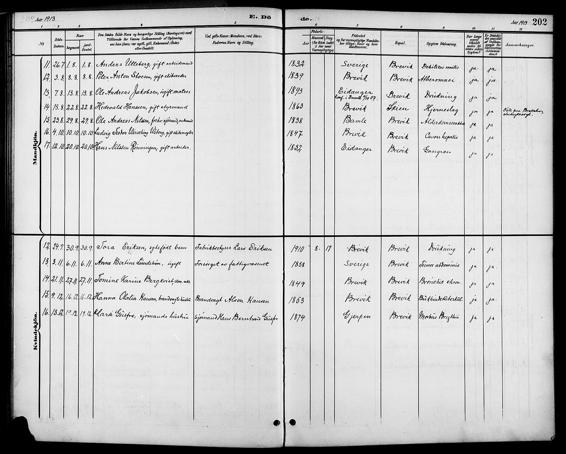 Brevik kirkebøker, AV/SAKO-A-255/G/Ga/L0005: Parish register (copy) no. 5, 1901-1924, p. 202