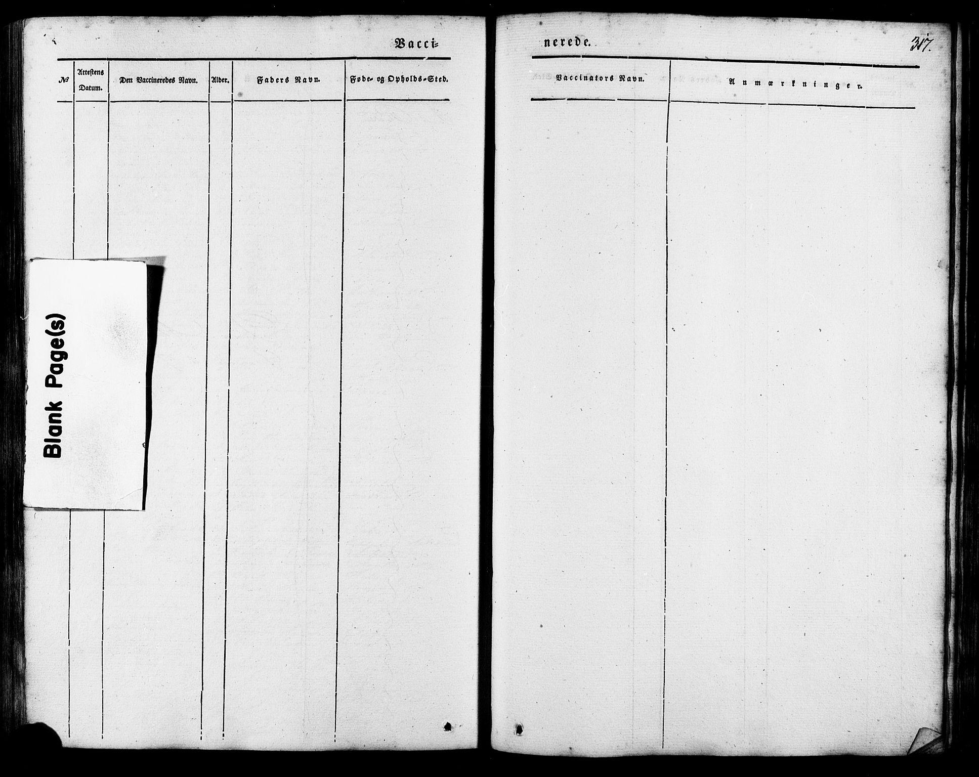 Ministerialprotokoller, klokkerbøker og fødselsregistre - Møre og Romsdal, AV/SAT-A-1454/503/L0034: Parish register (official) no. 503A02, 1841-1884, p. 317