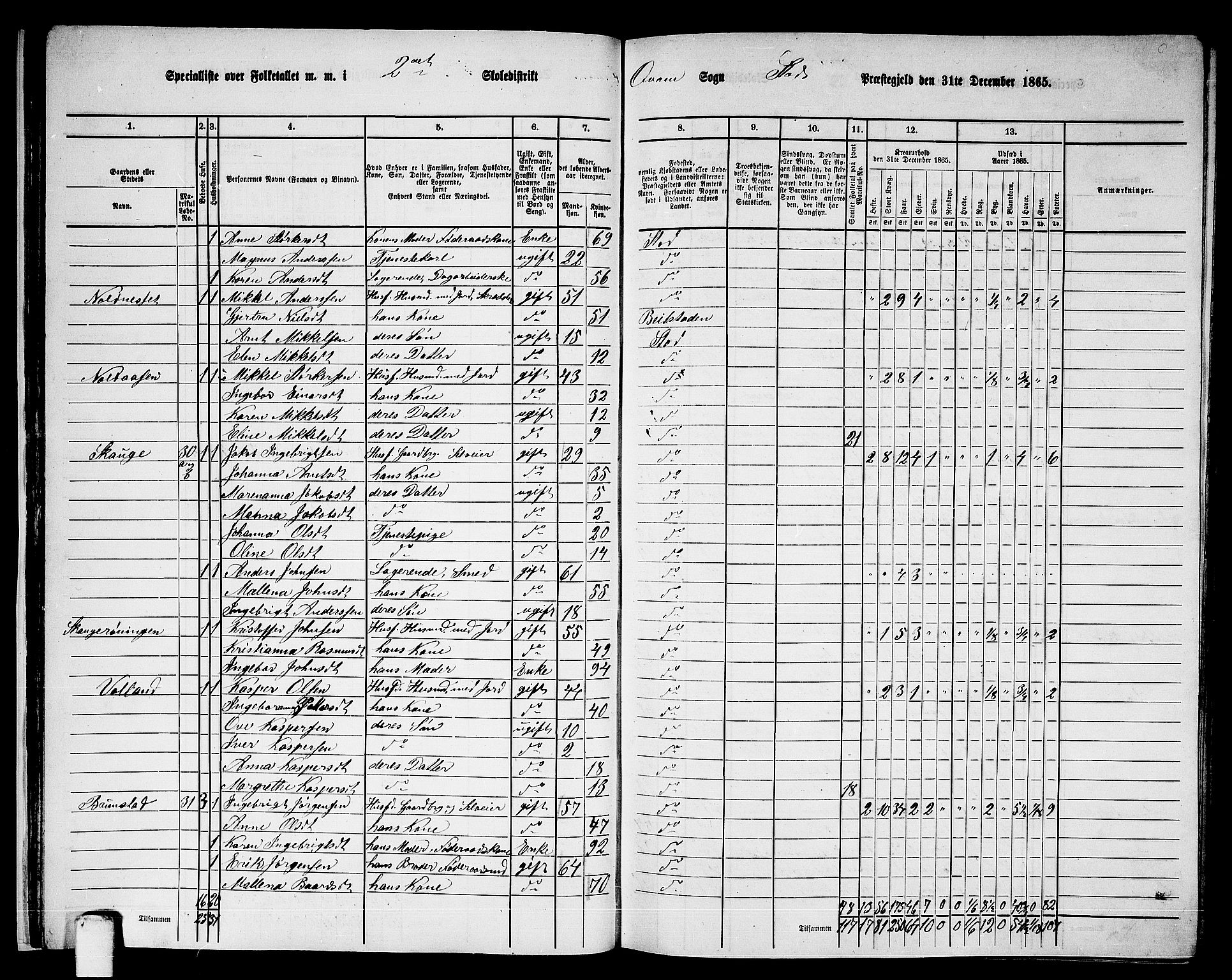 RA, 1865 census for Stod, 1865, p. 29