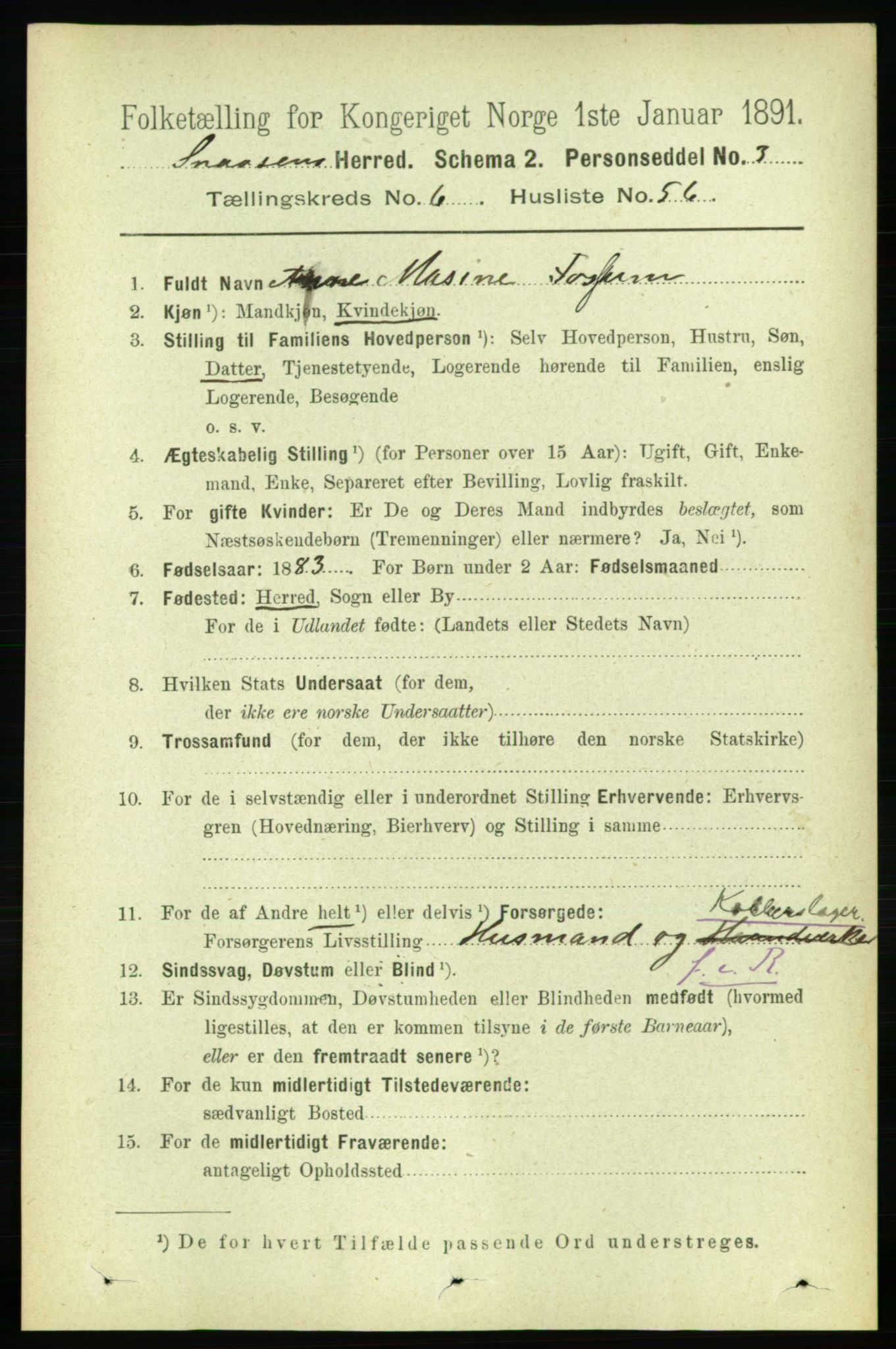 RA, 1891 census for 1736 Snåsa, 1891, p. 2221