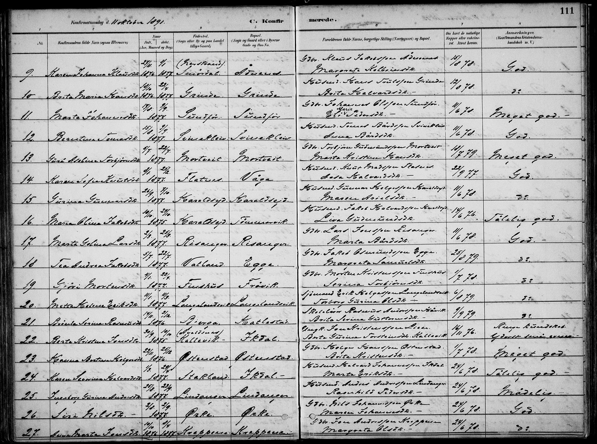 Skjold sokneprestkontor, AV/SAST-A-101847/H/Ha/Haa/L0010: Parish register (official) no. A 10, 1882-1897, p. 111