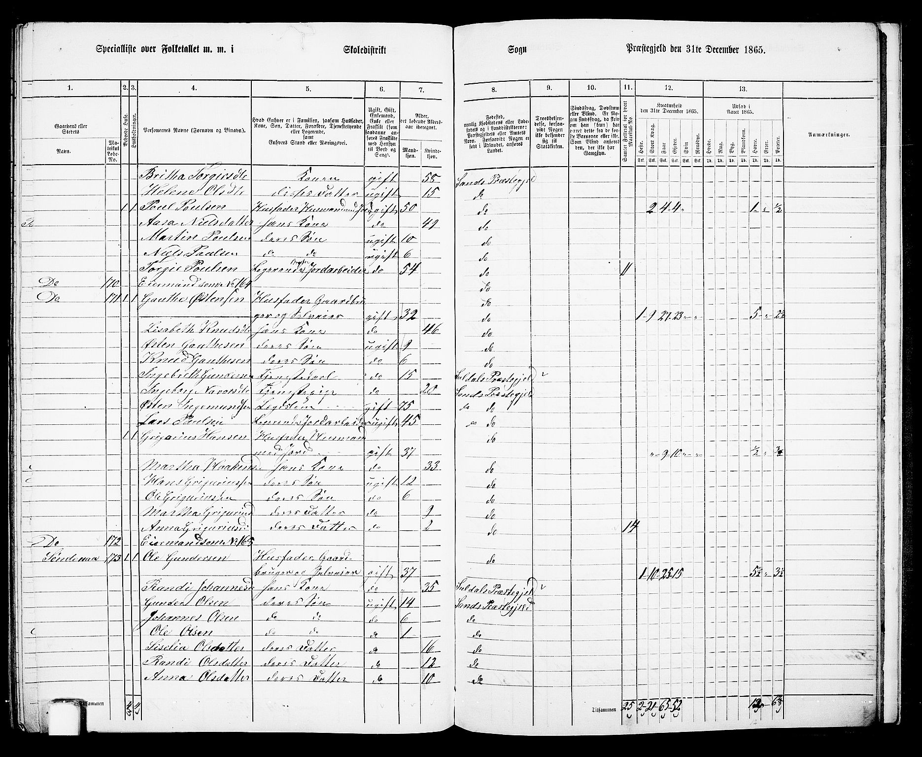 RA, 1865 census for Sand, 1865, p. 152