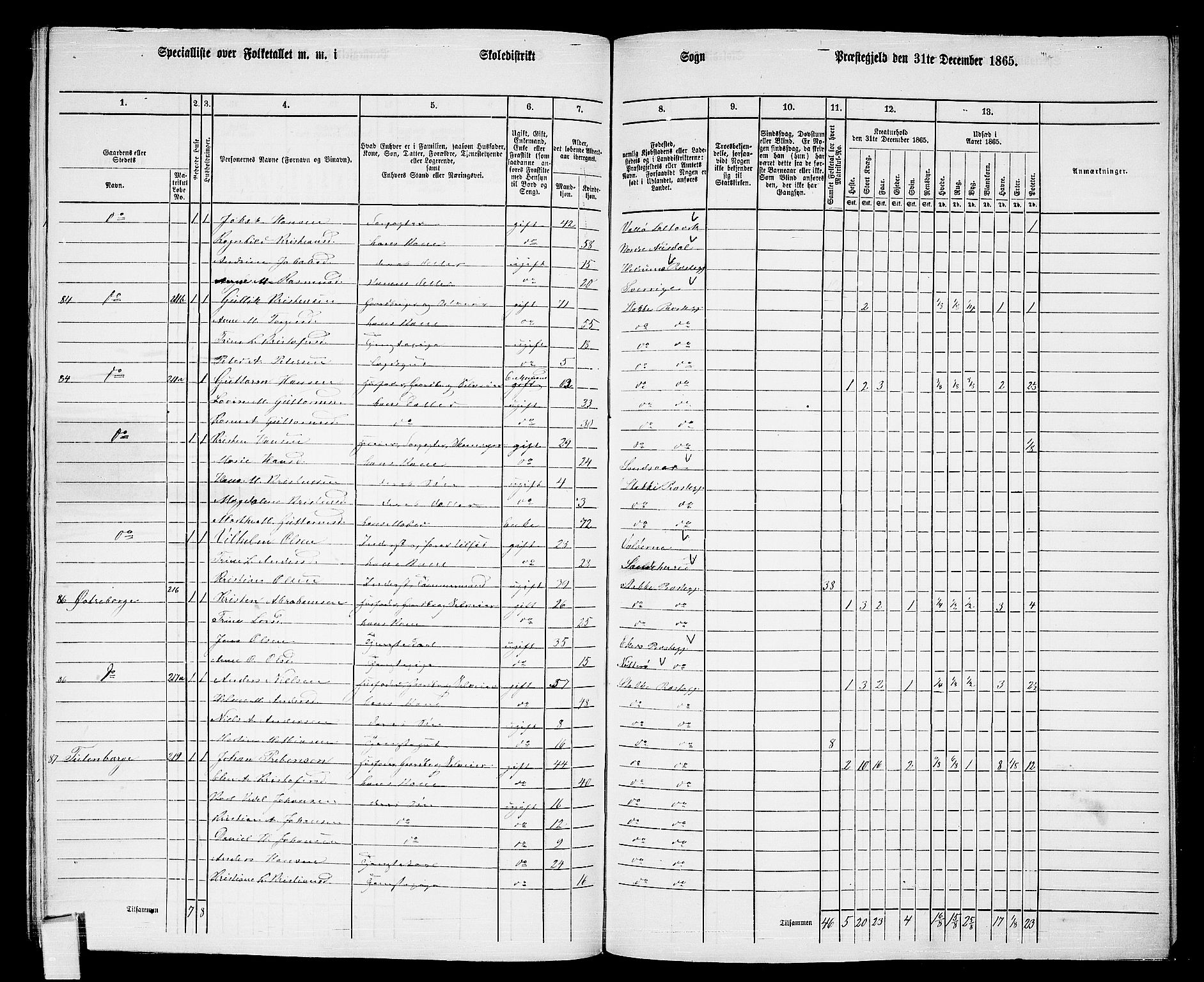 RA, 1865 census for Stokke, 1865, p. 146