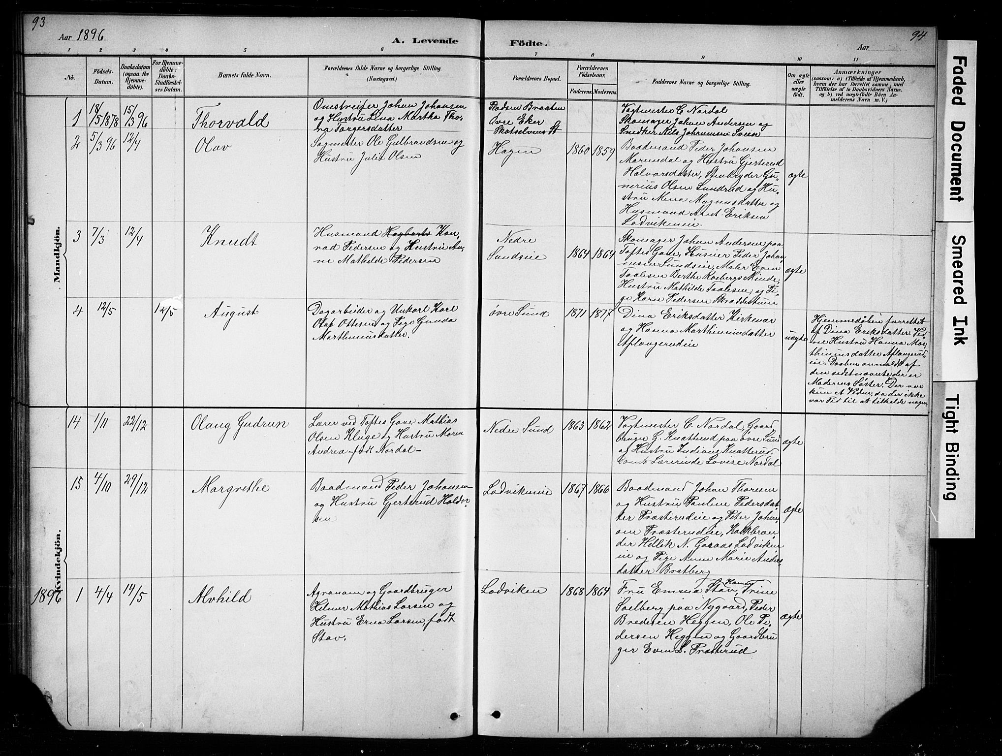 Nes prestekontor, Hedmark, AV/SAH-PREST-020/L/La/L0016: Parish register (copy) no. 16, 1883-1900, p. 93-94