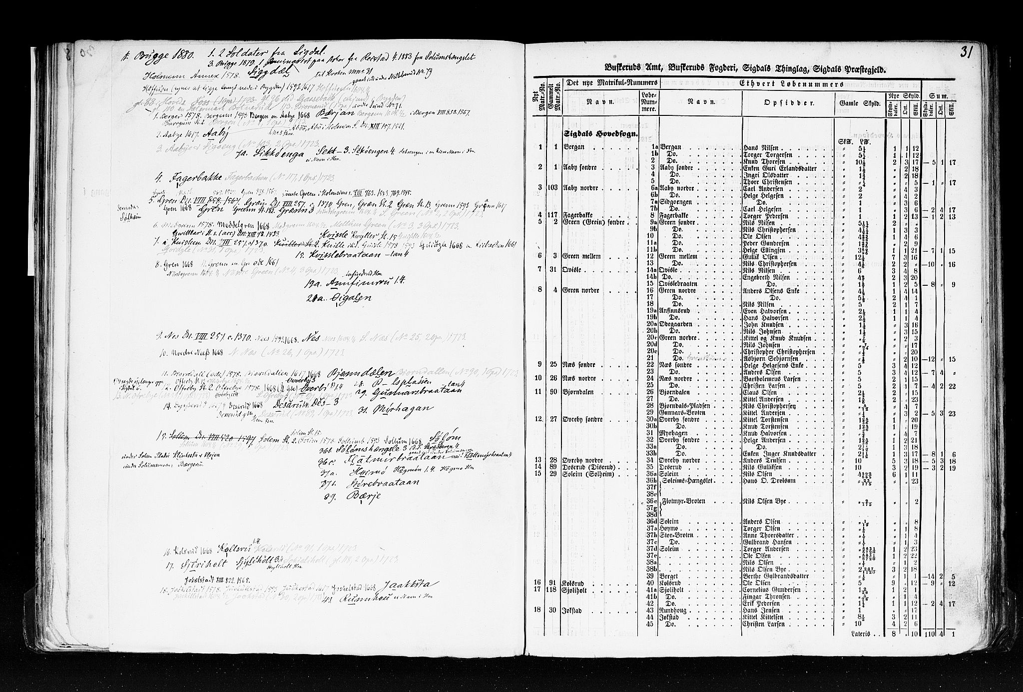 Rygh, RA/PA-0034/F/Fb/L0005: Matrikkelen for 1838 - Buskerud amt (Buskerud fylke), 1838, p. 31a