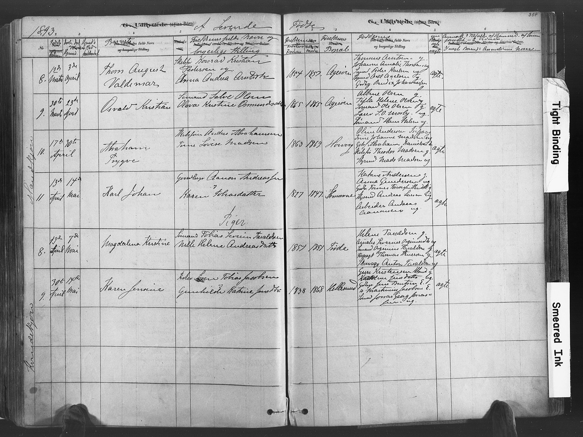 Høvåg sokneprestkontor, AV/SAK-1111-0025/F/Fa/L0005: Parish register (official) no. A 5, 1878-1893, p. 384