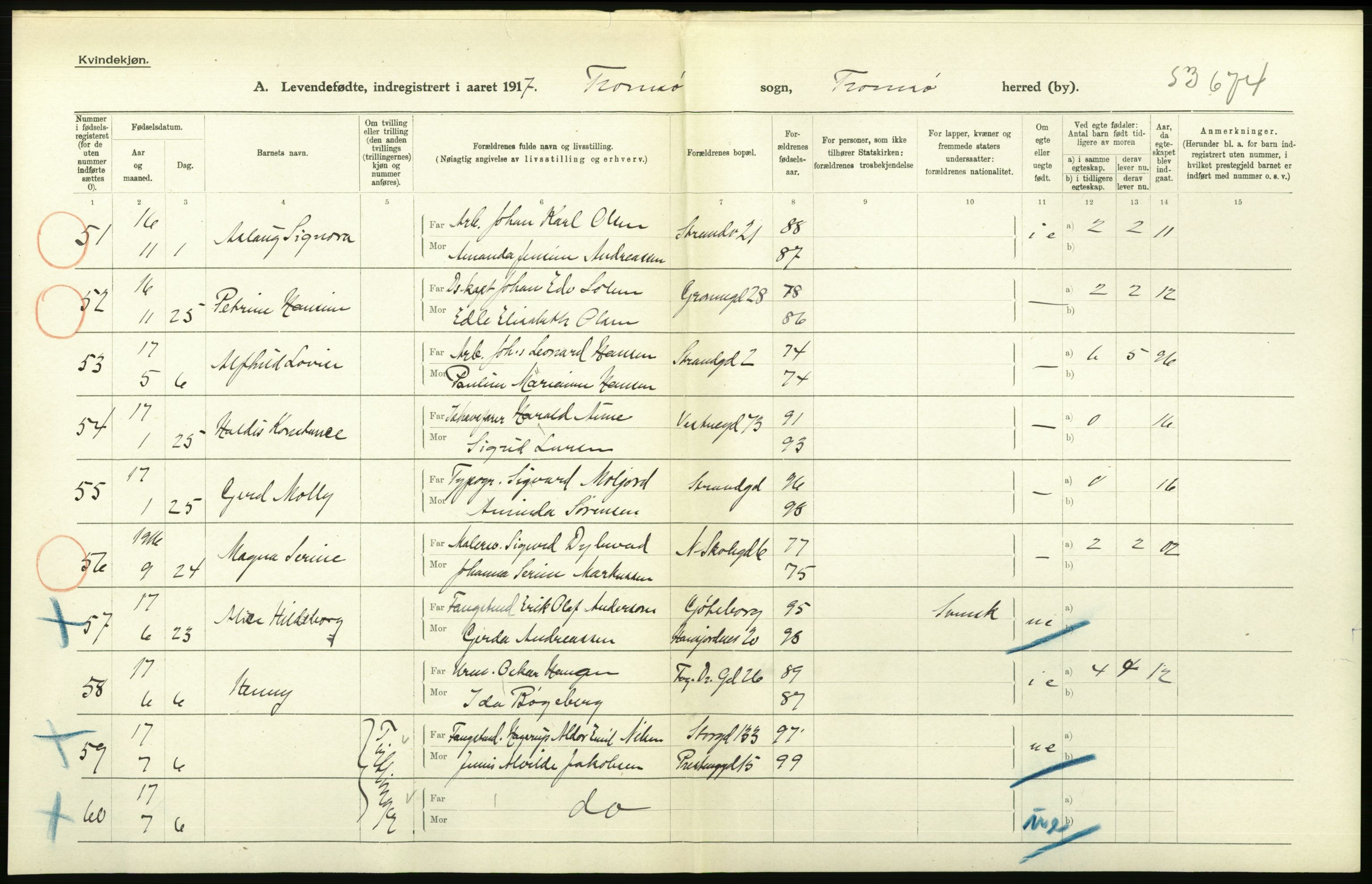 Statistisk sentralbyrå, Sosiodemografiske emner, Befolkning, AV/RA-S-2228/D/Df/Dfb/Dfbg/L0053: Tromsø amt: Levendefødte menn og kvinner. Bygder og byer., 1917, p. 14