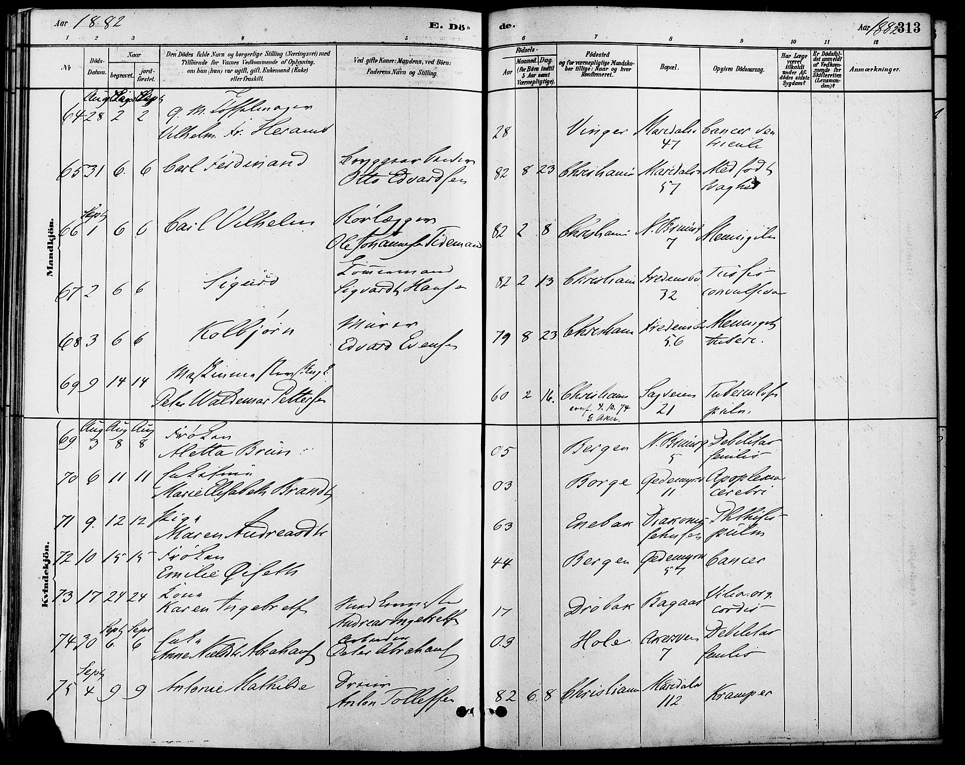 Gamle Aker prestekontor Kirkebøker, AV/SAO-A-10617a/F/L0006: Parish register (official) no. 6, 1880-1887, p. 313