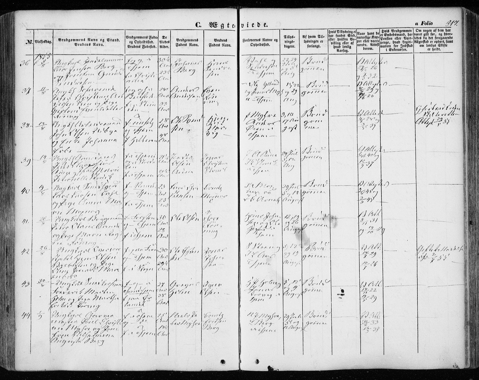 Ministerialprotokoller, klokkerbøker og fødselsregistre - Sør-Trøndelag, SAT/A-1456/601/L0051: Parish register (official) no. 601A19, 1848-1857, p. 317