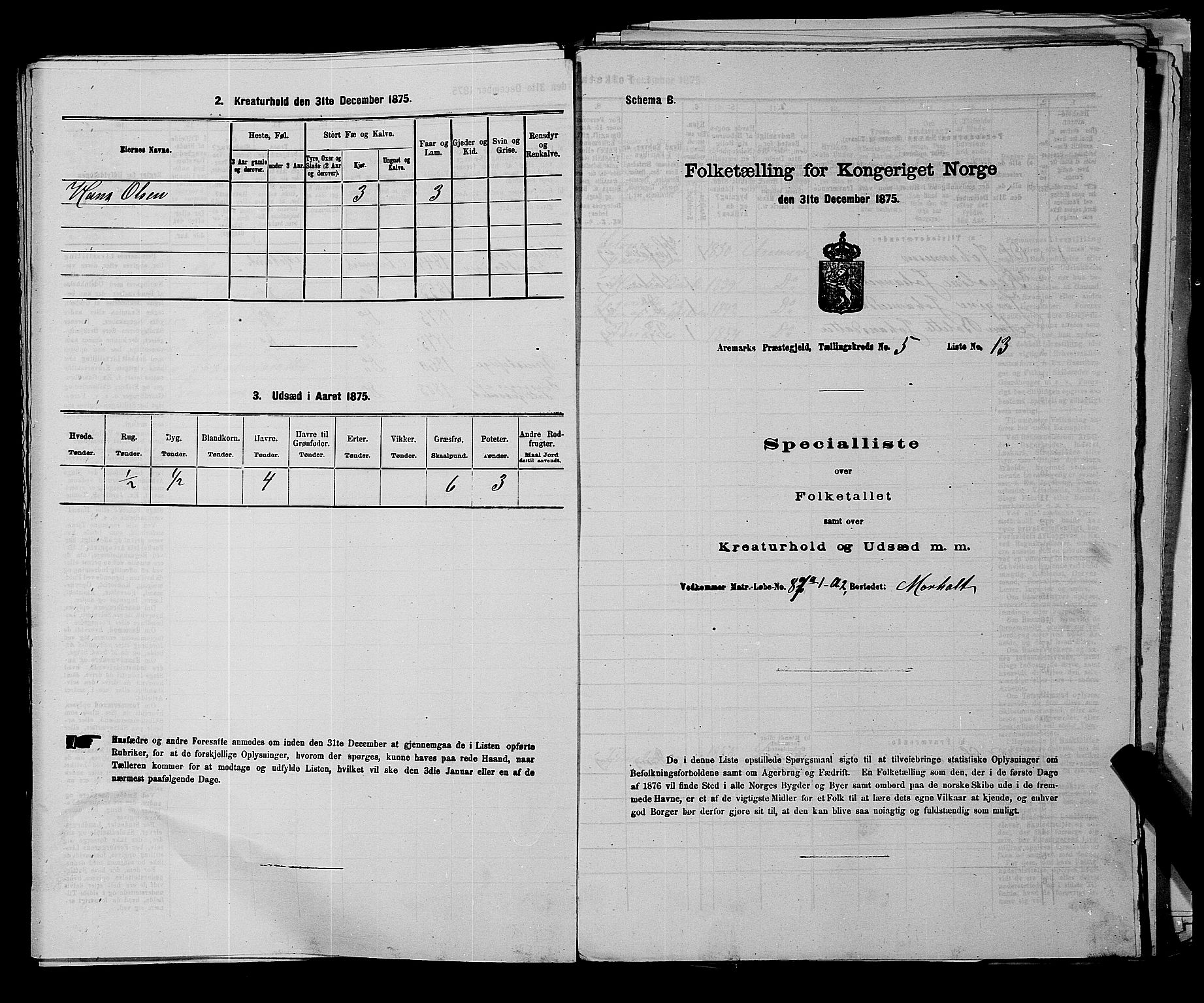 RA, 1875 census for 0118P Aremark, 1875, p. 668