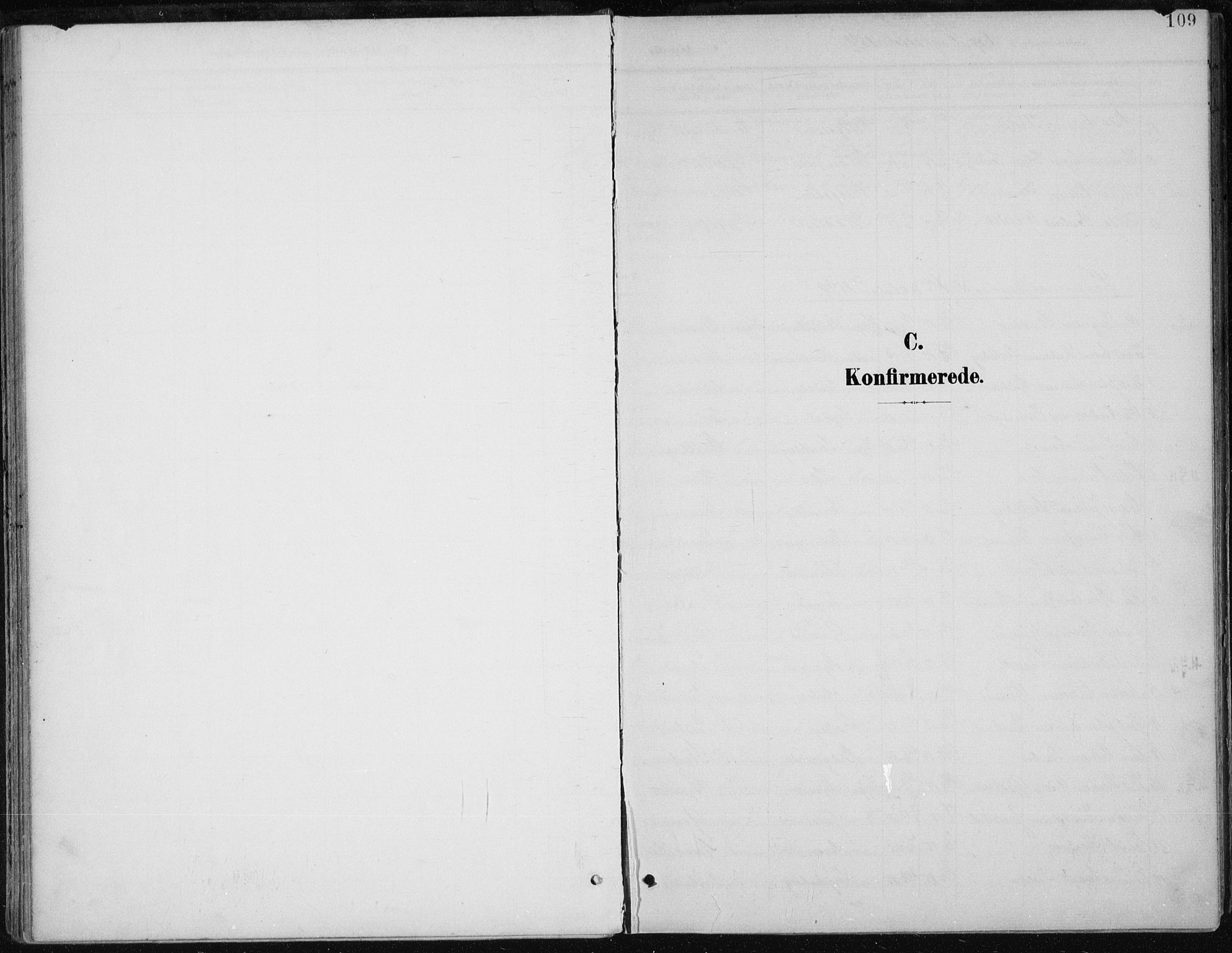 Modum kirkebøker, SAKO/A-234/F/Fa/L0013: Parish register (official) no. 13, 1899-1907, p. 109