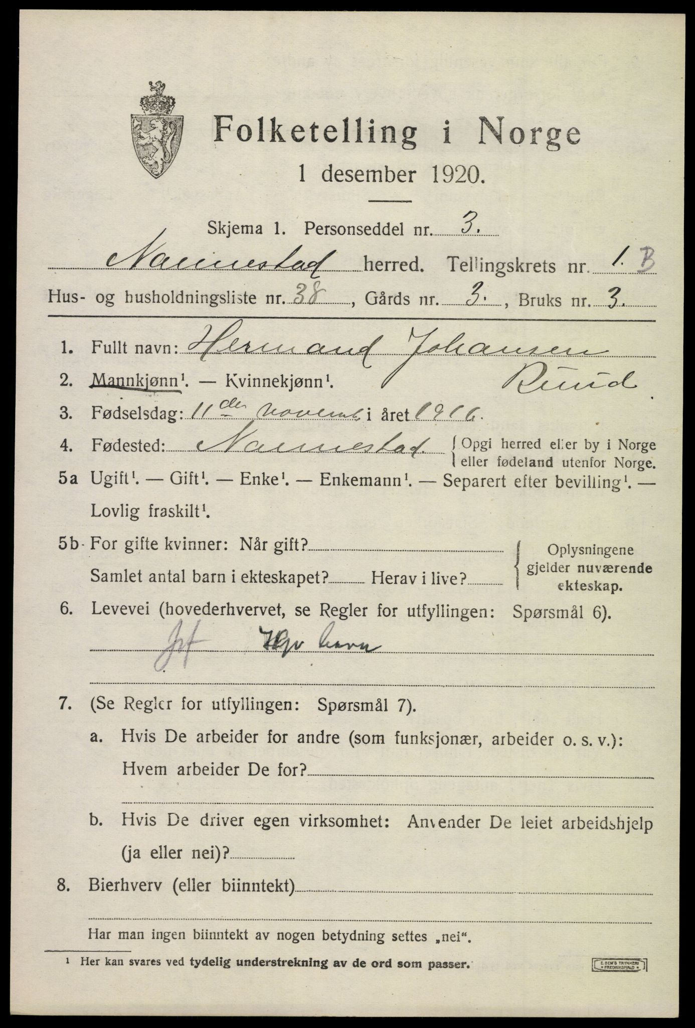 SAO, 1920 census for Nannestad, 1920, p. 2295