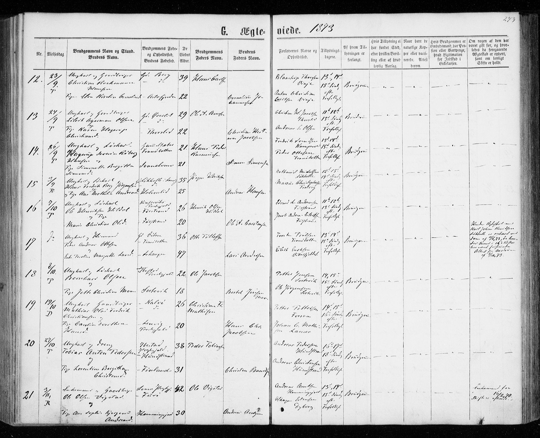 Tranøy sokneprestkontor, SATØ/S-1313/I/Ia/Iaa/L0008kirke: Parish register (official) no. 8, 1867-1877, p. 243