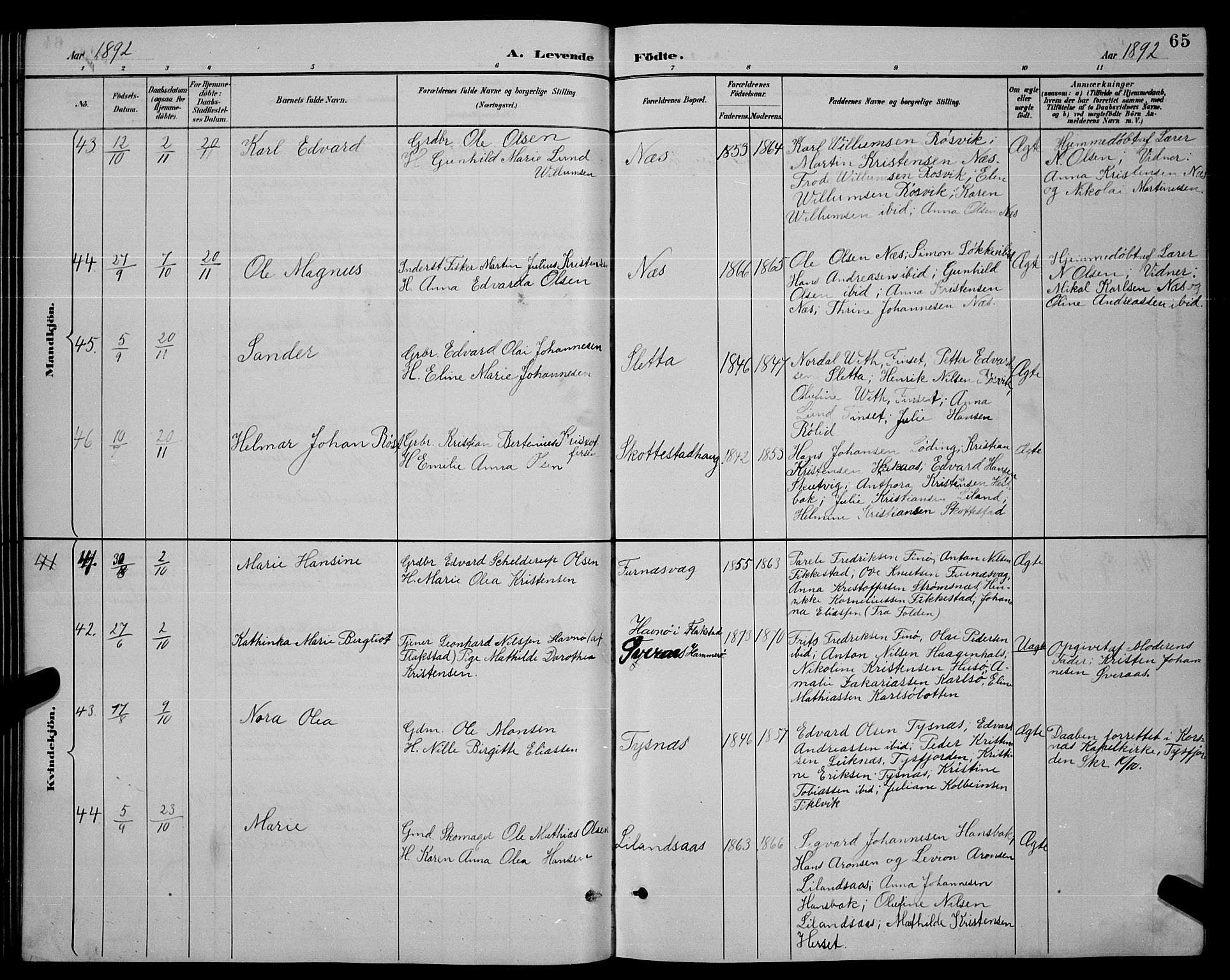 Ministerialprotokoller, klokkerbøker og fødselsregistre - Nordland, SAT/A-1459/859/L0859: Parish register (copy) no. 859C05, 1887-1898, p. 65