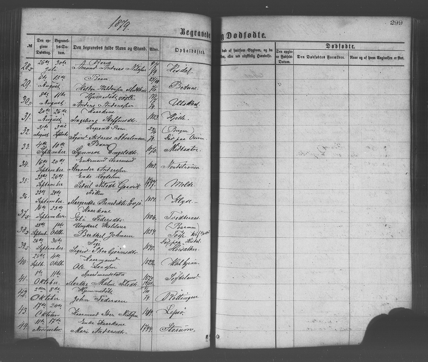 Os sokneprestembete, SAB/A-99929: Parish register (official) no. A 18, 1874-1884, p. 299