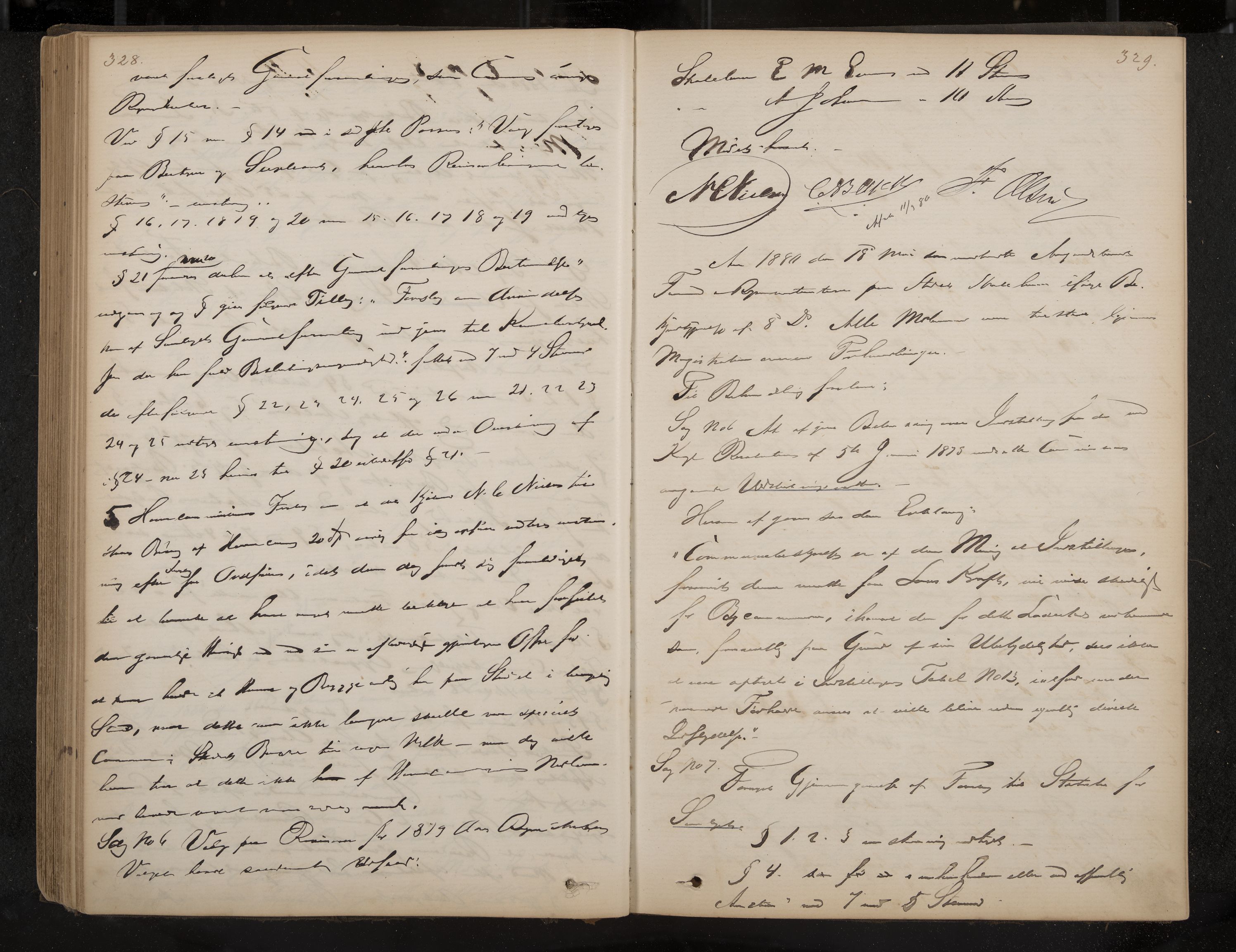Åsgårdstrand formannskap og sentraladministrasjon, IKAK/0704021/A/L0002: Møtebok, 1865-1890, p. 328-329