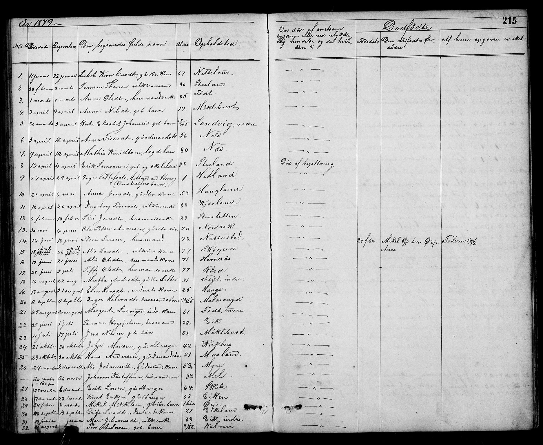 Kvinnherad sokneprestembete, SAB/A-76401/H/Hab: Parish register (copy) no. A 2, 1873-1900, p. 215