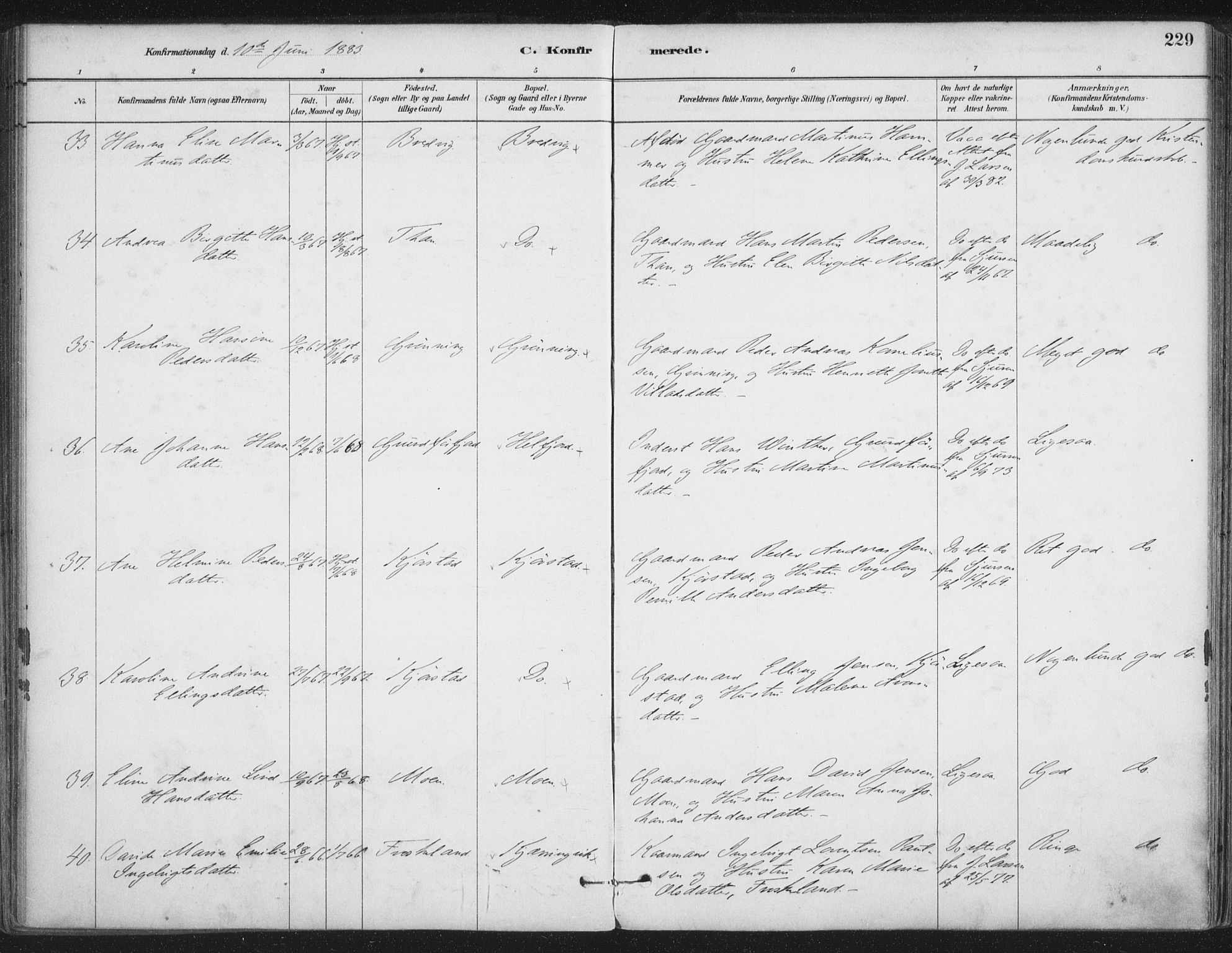 Ministerialprotokoller, klokkerbøker og fødselsregistre - Nordland, AV/SAT-A-1459/888/L1244: Parish register (official) no. 888A10, 1880-1890, p. 229