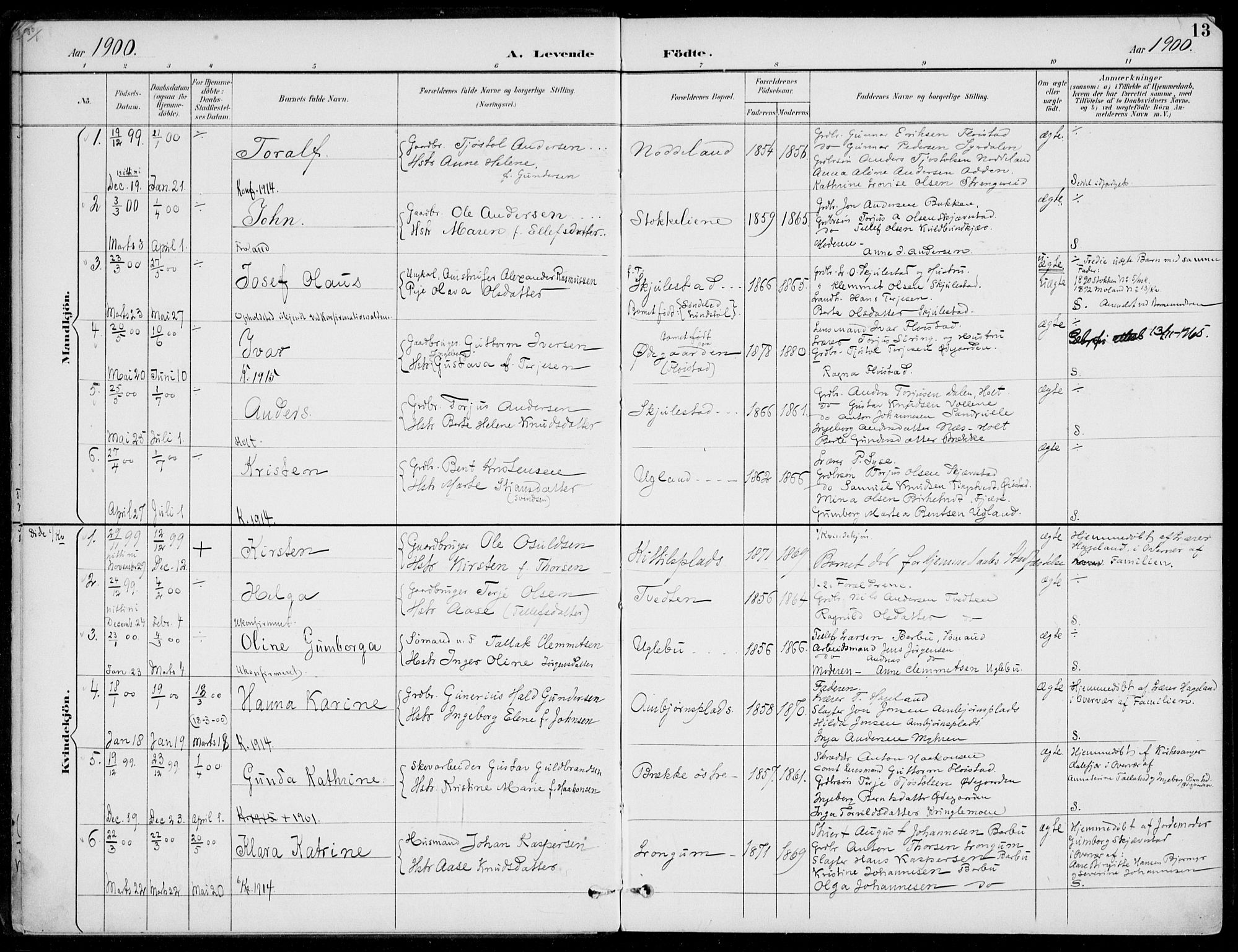 Austre Moland sokneprestkontor, AV/SAK-1111-0001/F/Fa/Faa/L0011: Parish register (official) no. A 11, 1894-1915, p. 13