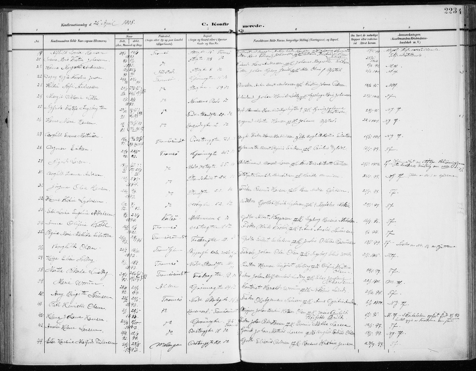 Tromsø sokneprestkontor/stiftsprosti/domprosti, SATØ/S-1343/G/Ga/L0017kirke: Parish register (official) no. 17, 1907-1917, p. 223