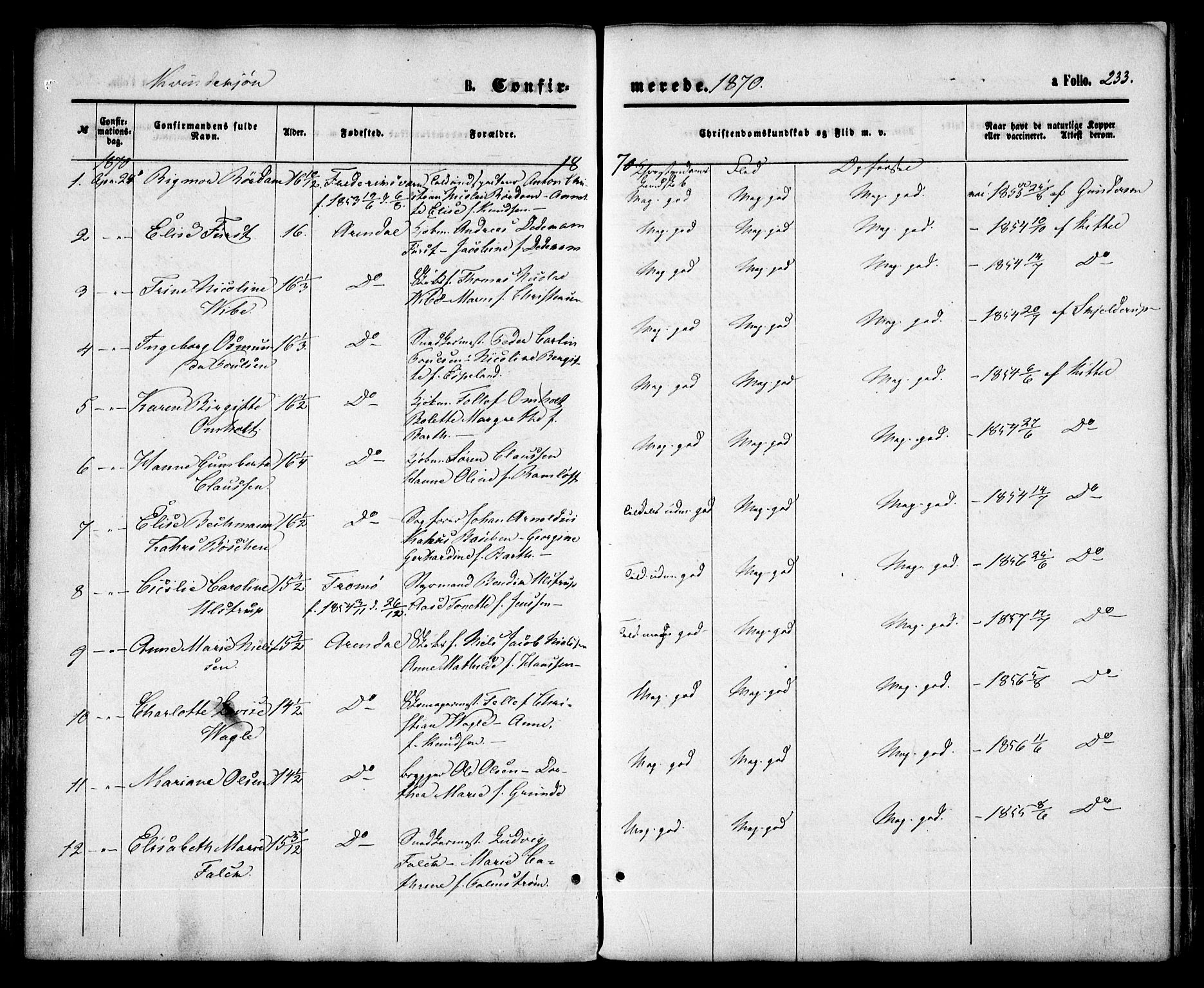 Arendal sokneprestkontor, Trefoldighet, SAK/1111-0040/F/Fa/L0007: Parish register (official) no. A 7, 1868-1878, p. 233