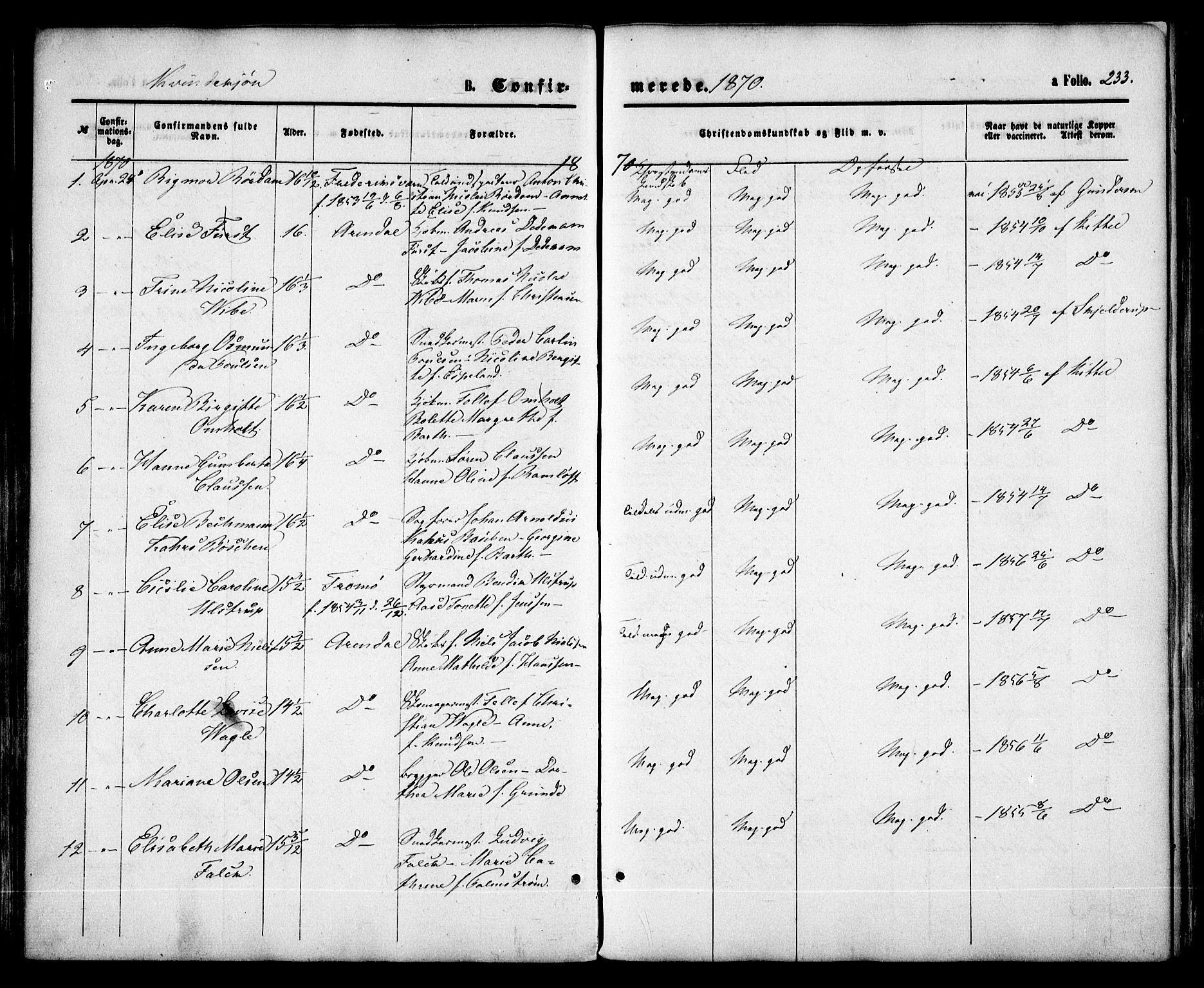 Arendal sokneprestkontor, Trefoldighet, AV/SAK-1111-0040/F/Fa/L0007: Parish register (official) no. A 7, 1868-1878, p. 233