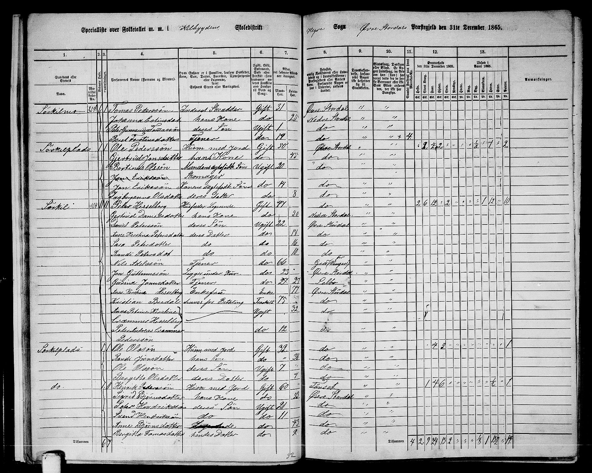 RA, 1865 census for Øvre Stjørdal, 1865, p. 19