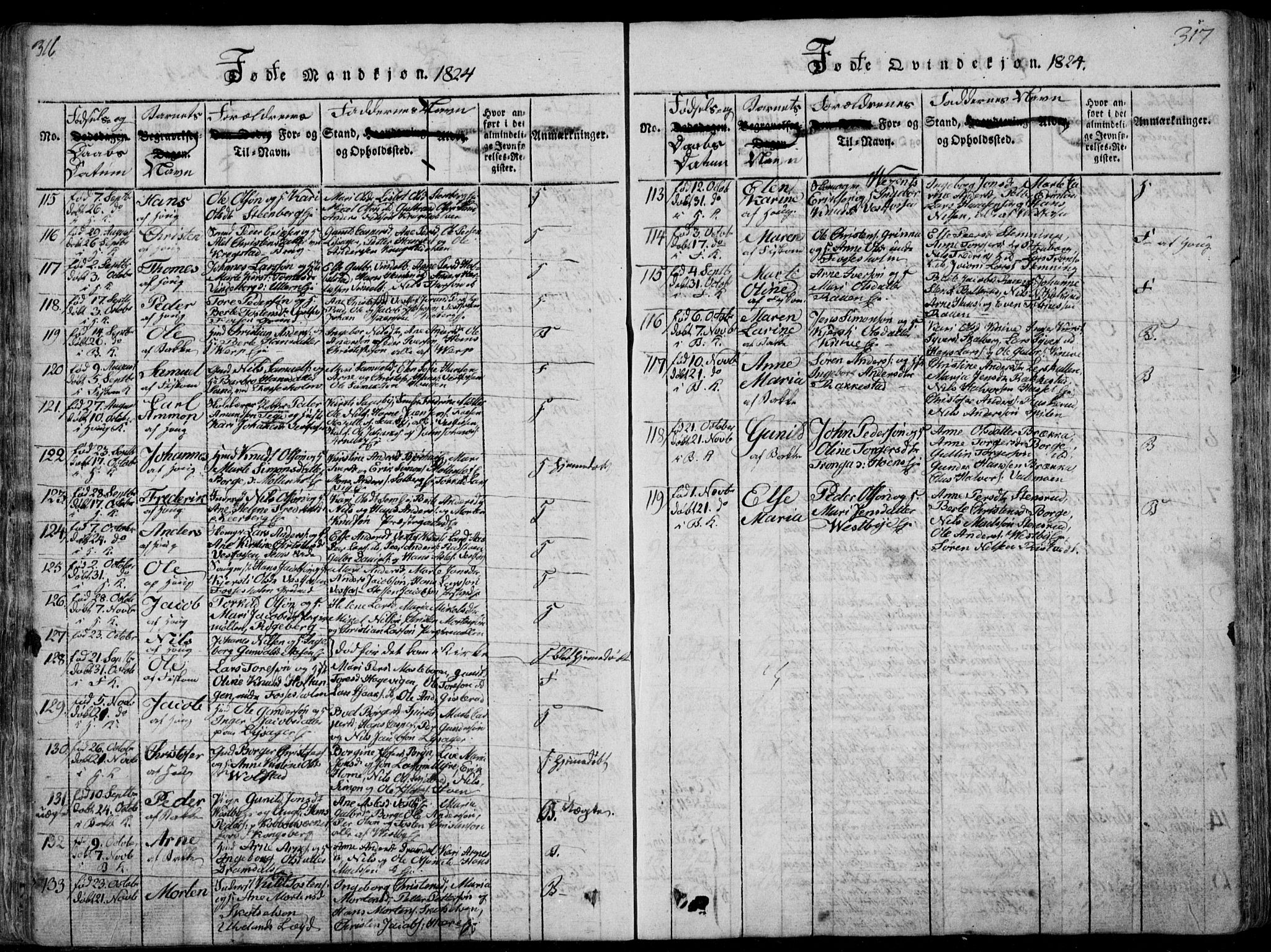 Eiker kirkebøker, AV/SAKO-A-4/F/Fa/L0011: Parish register (official) no. I 11, 1814-1827, p. 316-317