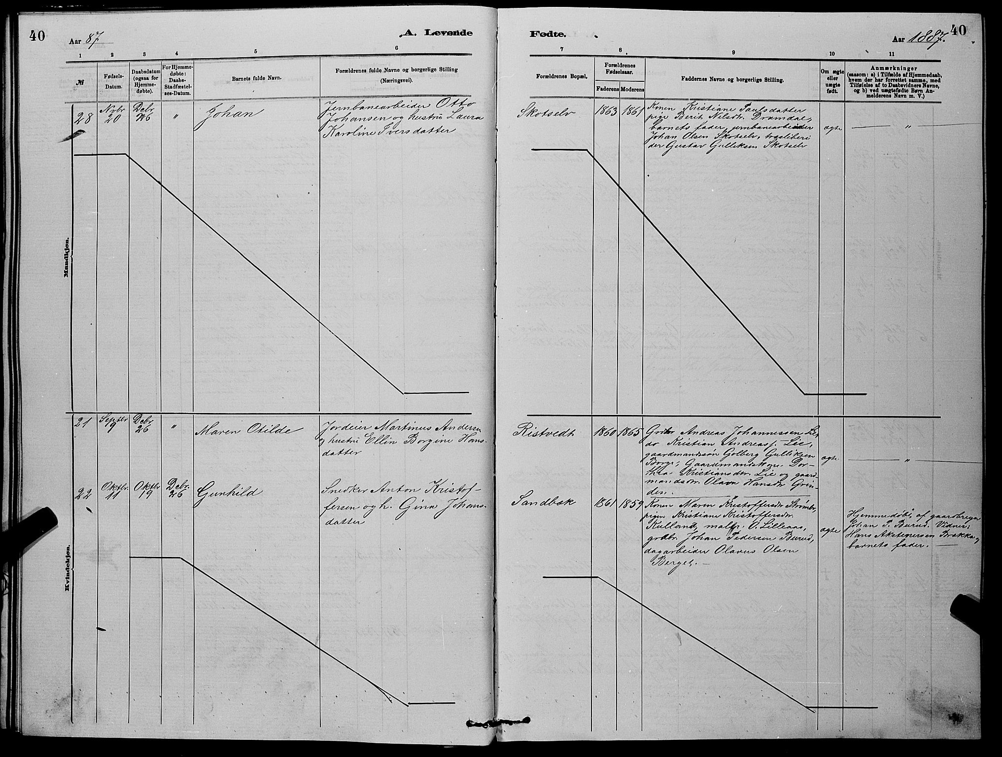 Eiker kirkebøker, AV/SAKO-A-4/G/Gb/L0003: Parish register (copy) no. II 3, 1880-1893, p. 40