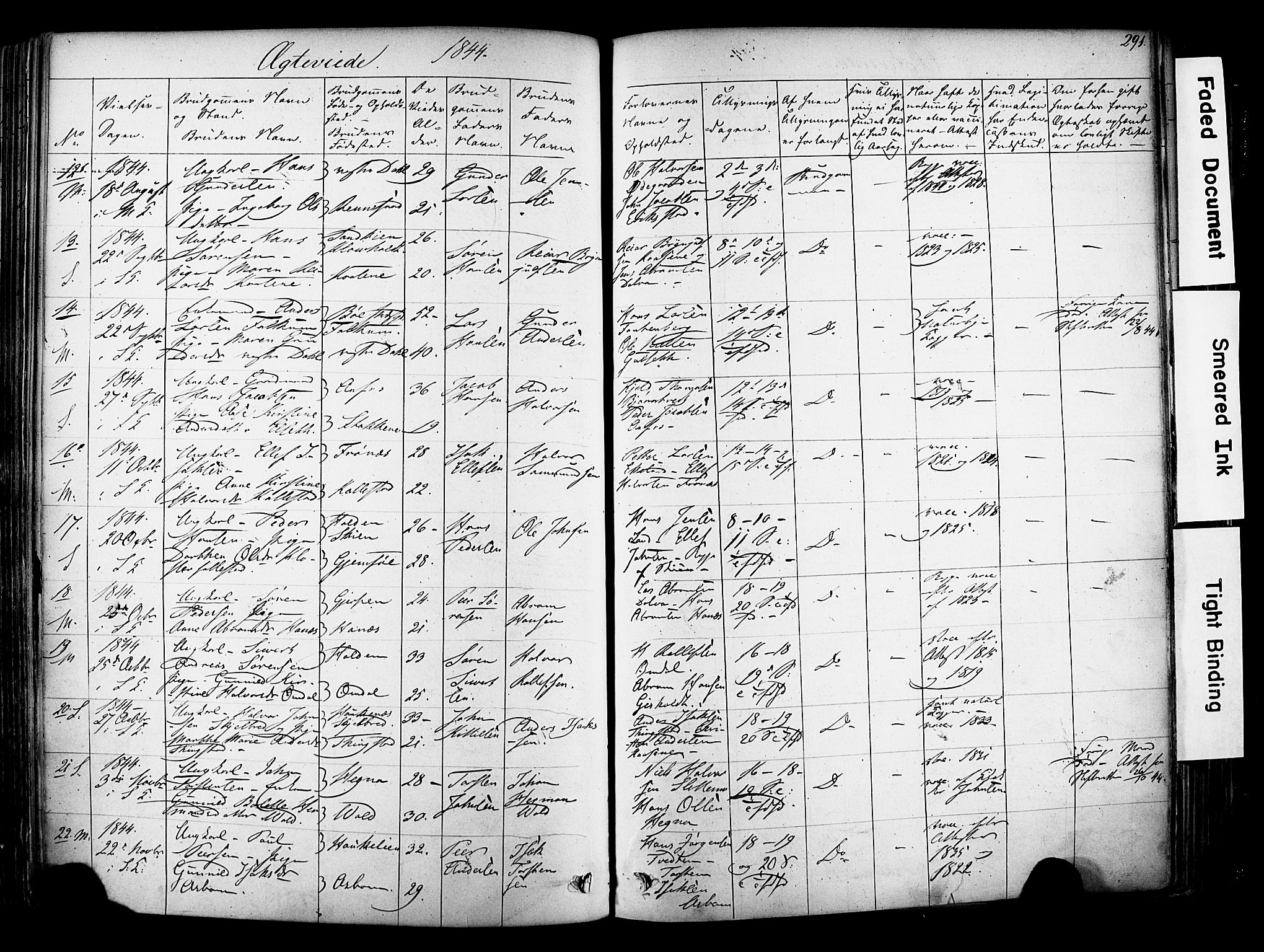 Solum kirkebøker, SAKO/A-306/F/Fa/L0006: Parish register (official) no. I 6, 1844-1855, p. 291