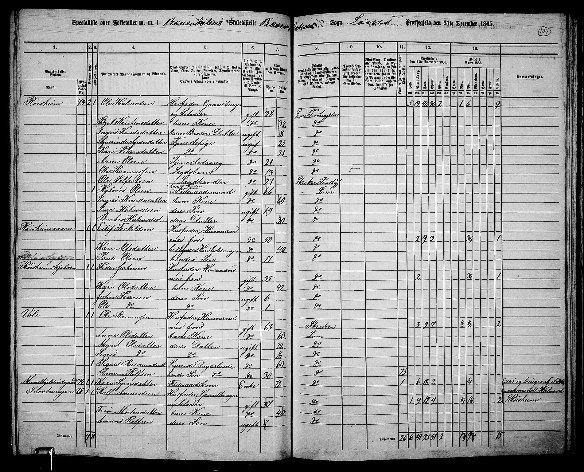 RA, 1865 census for Lom, 1865, p. 96