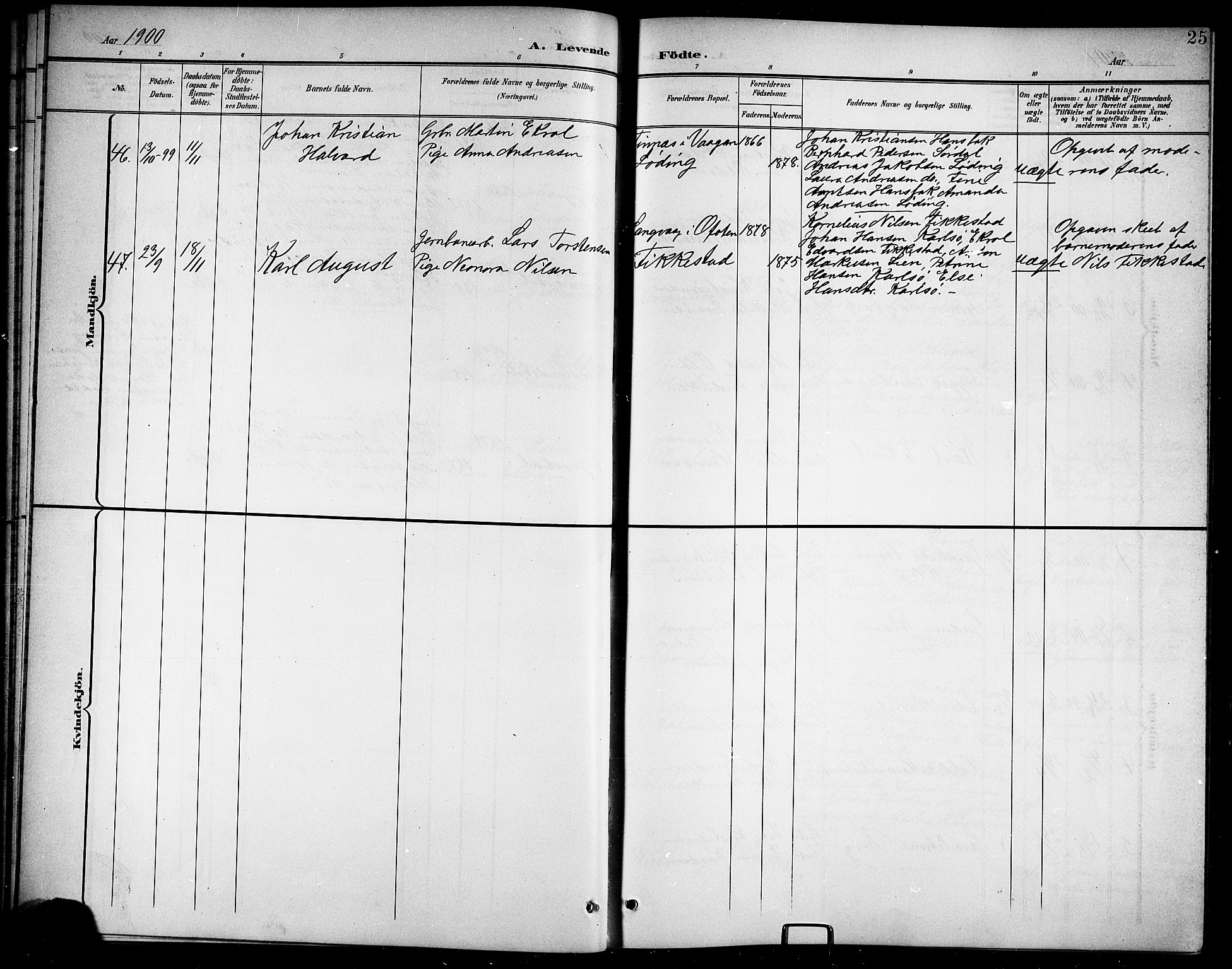 Ministerialprotokoller, klokkerbøker og fødselsregistre - Nordland, AV/SAT-A-1459/859/L0860: Parish register (copy) no. 859C06, 1899-1909, p. 25