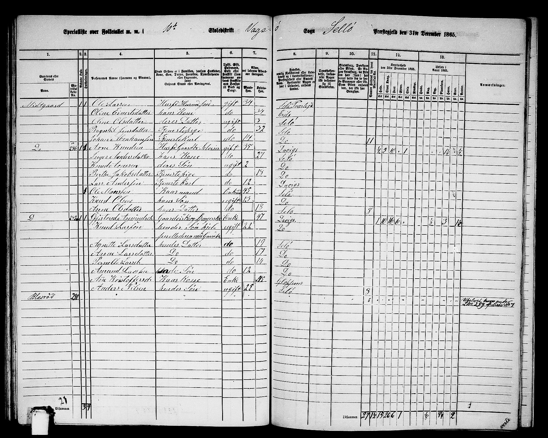 RA, 1865 census for Selje, 1865, p. 166