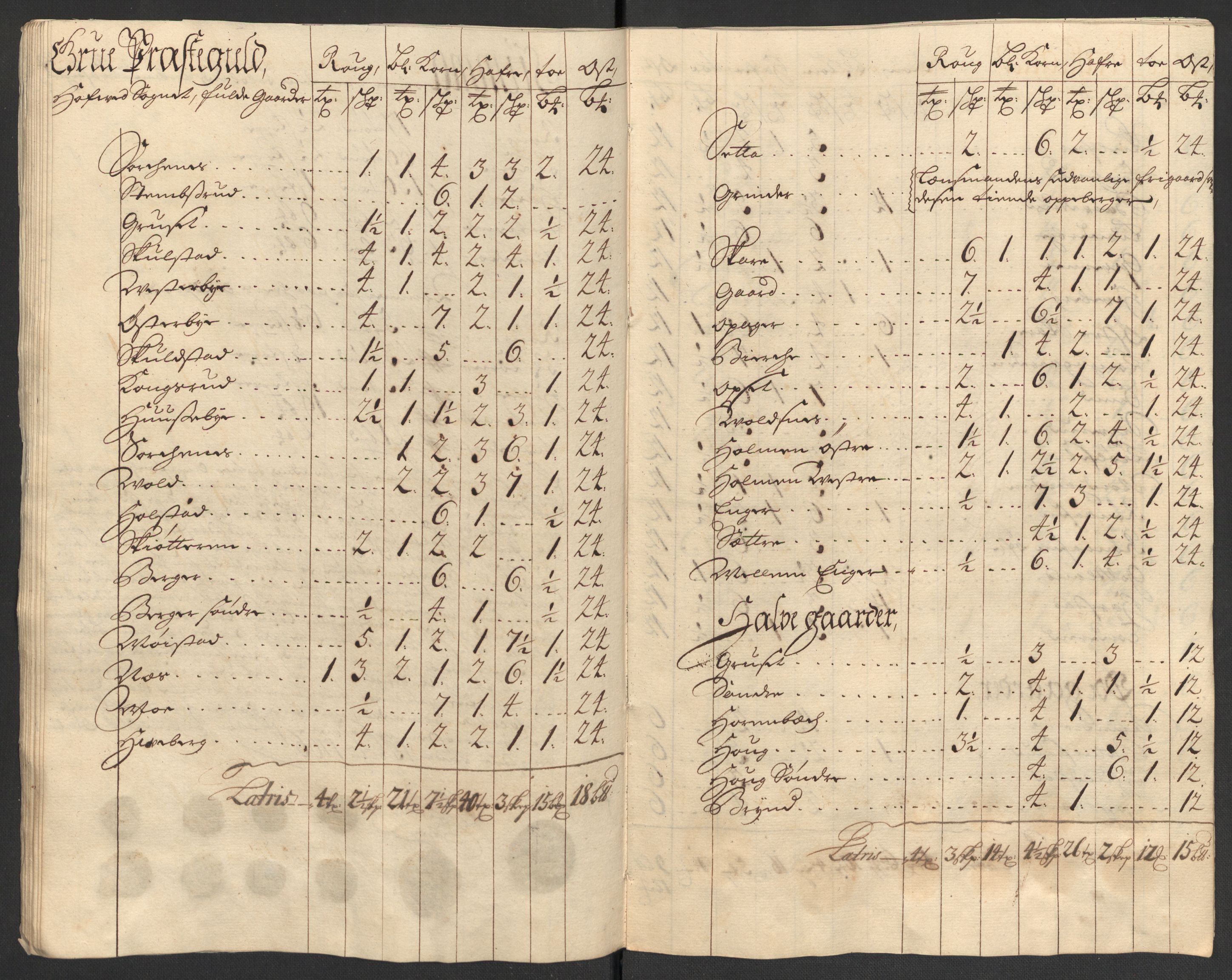 Rentekammeret inntil 1814, Reviderte regnskaper, Fogderegnskap, AV/RA-EA-4092/R13/L0843: Fogderegnskap Solør, Odal og Østerdal, 1705-1706, p. 370