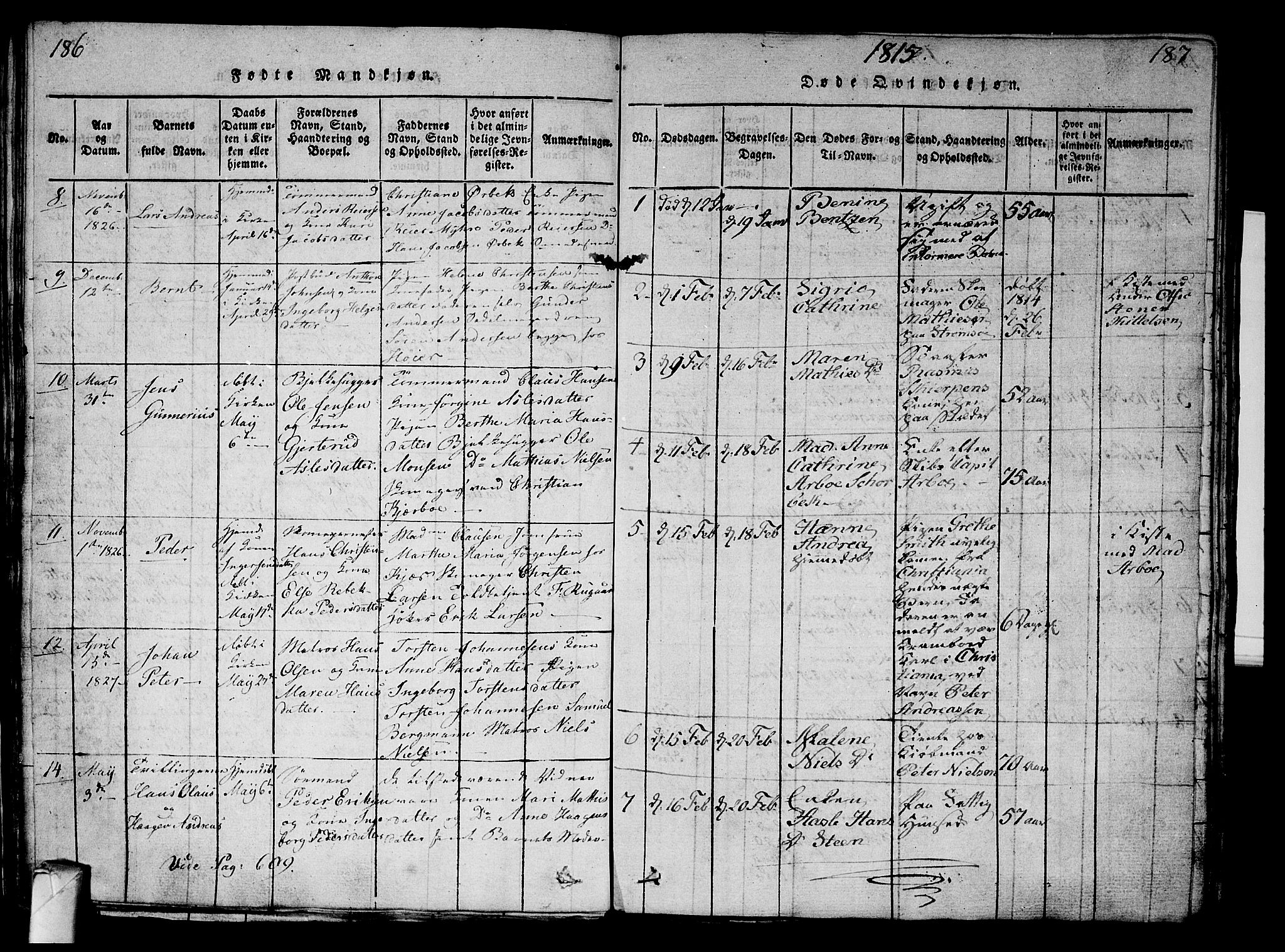 Strømsø kirkebøker, AV/SAKO-A-246/G/Ga/L0001: Parish register (copy) no. 1, 1815-1829, p. 186-187