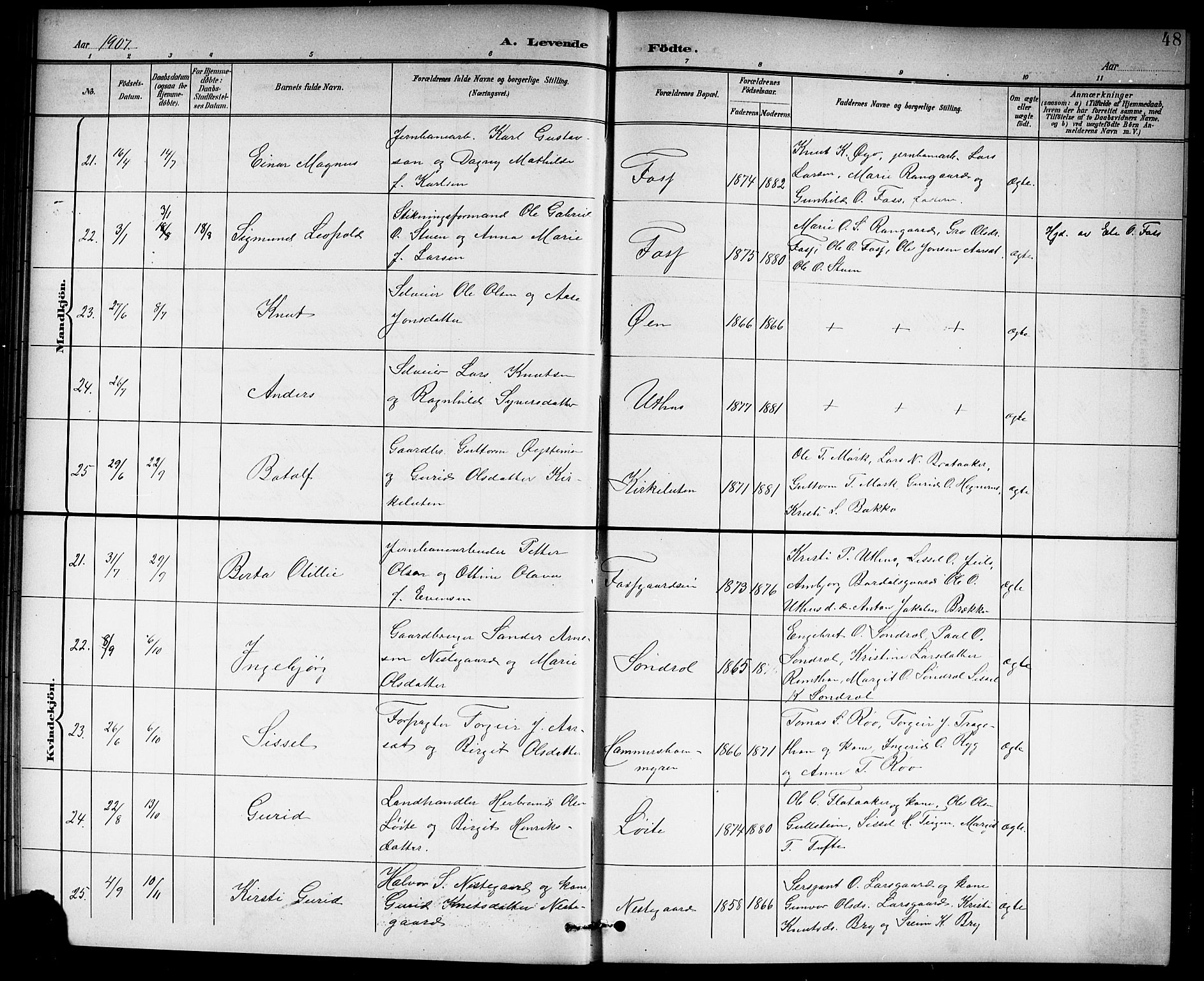 Hol kirkebøker, AV/SAKO-A-227/G/Ga/L0001: Parish register (copy) no. I 1, 1900-1919, p. 48