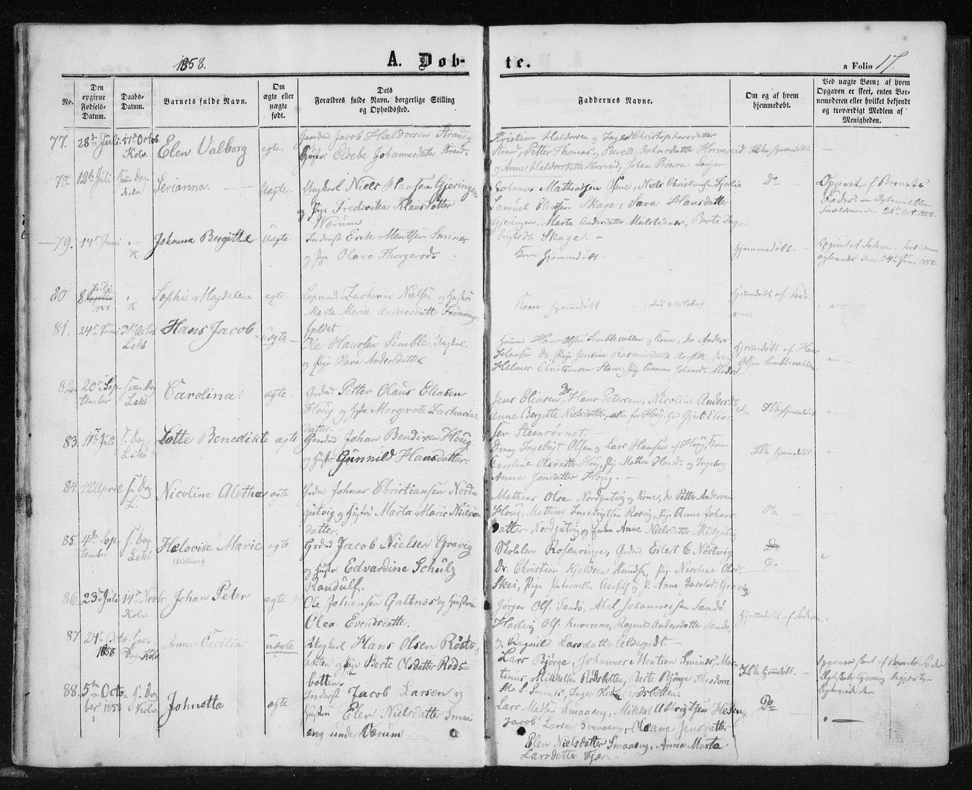 Ministerialprotokoller, klokkerbøker og fødselsregistre - Nord-Trøndelag, SAT/A-1458/780/L0641: Parish register (official) no. 780A06, 1857-1874, p. 17