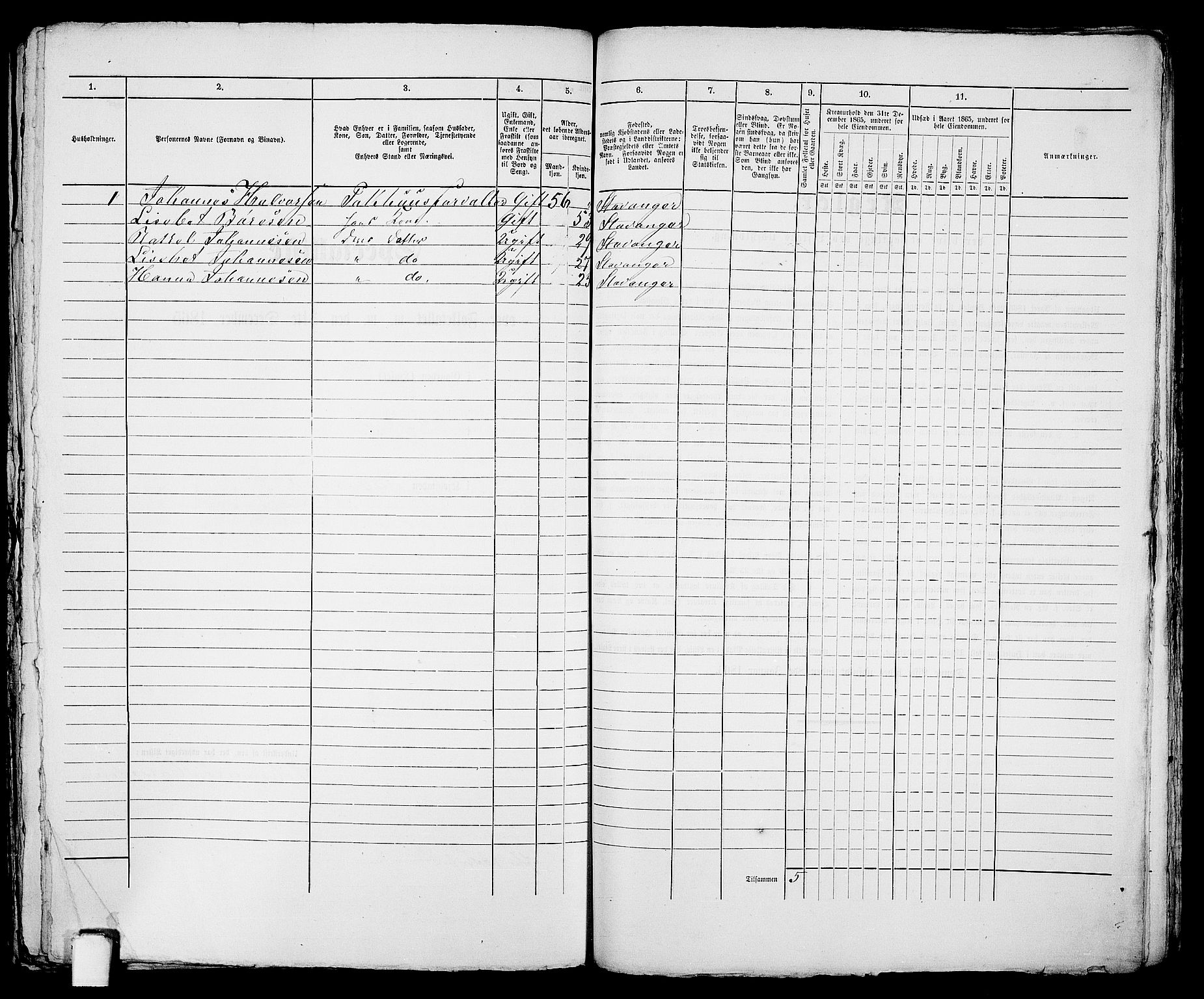 RA, 1865 census for Stavanger, 1865, p. 2463