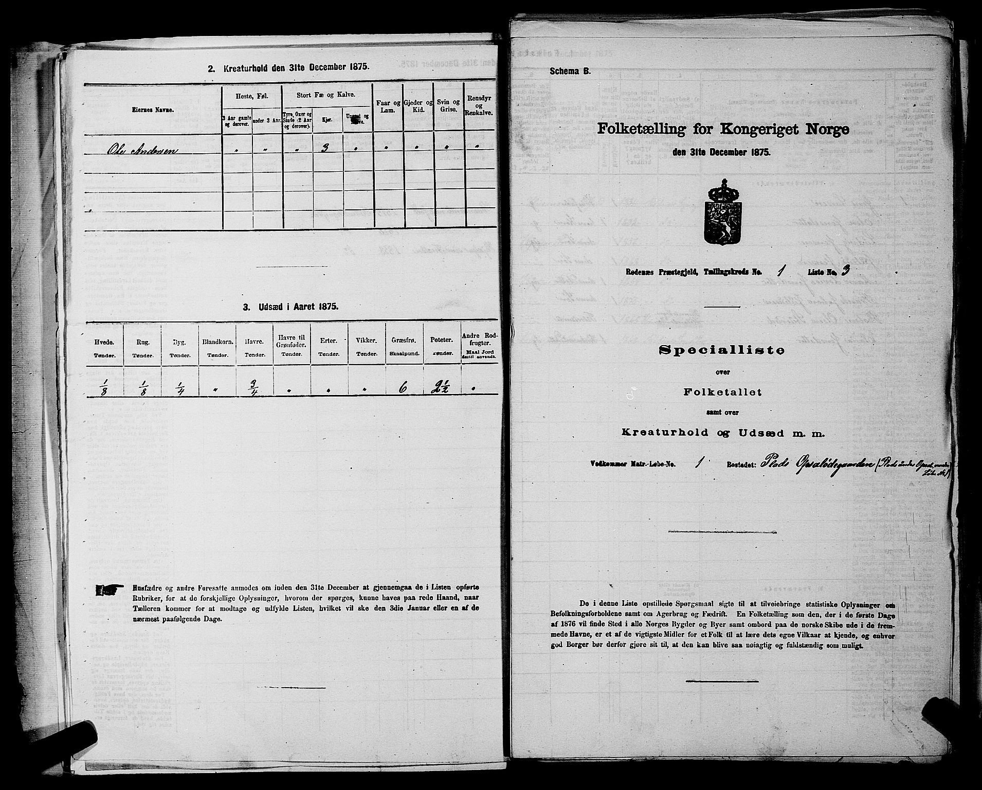 RA, 1875 census for 0120P Rødenes, 1875, p. 51