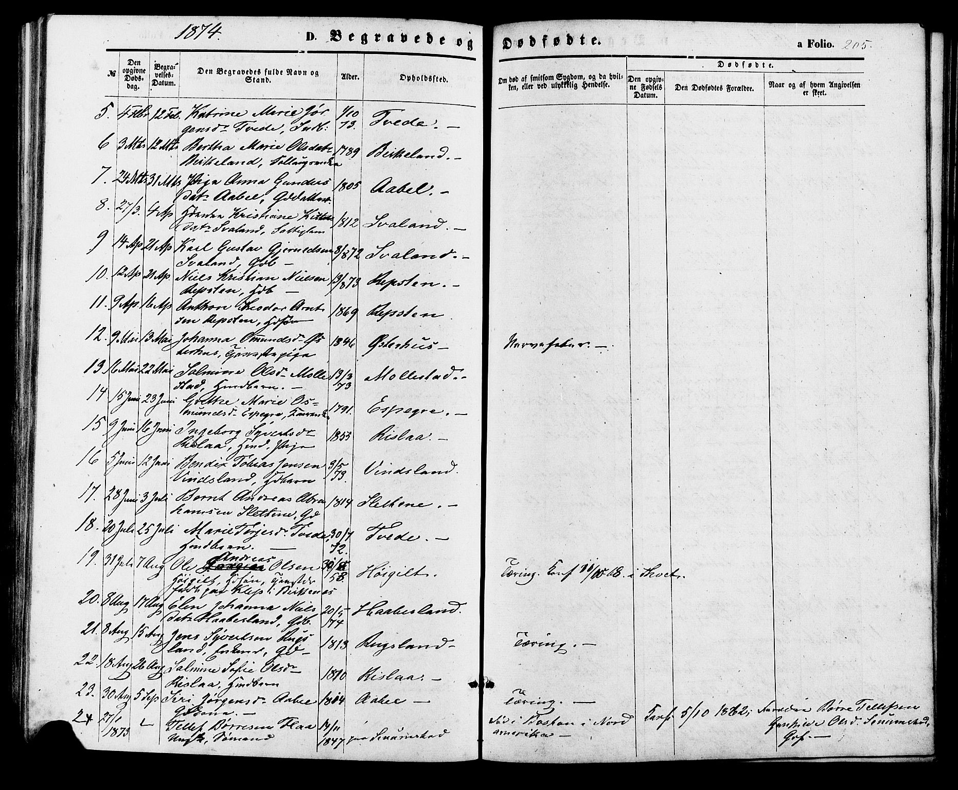 Birkenes sokneprestkontor, AV/SAK-1111-0004/F/Fa/L0004: Parish register (official) no. A 4, 1867-1886, p. 205